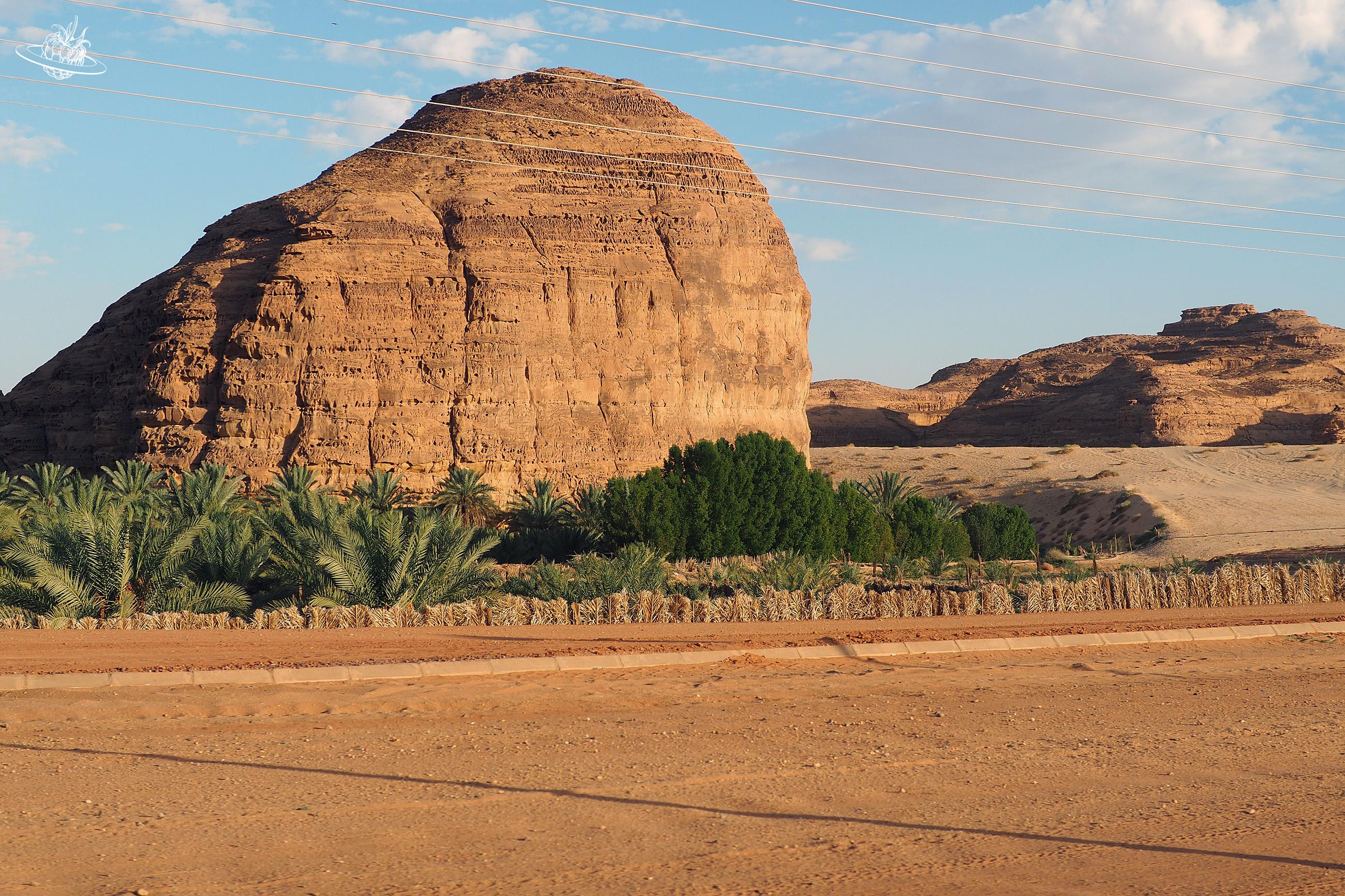 Felsen und Oase in der Wüste