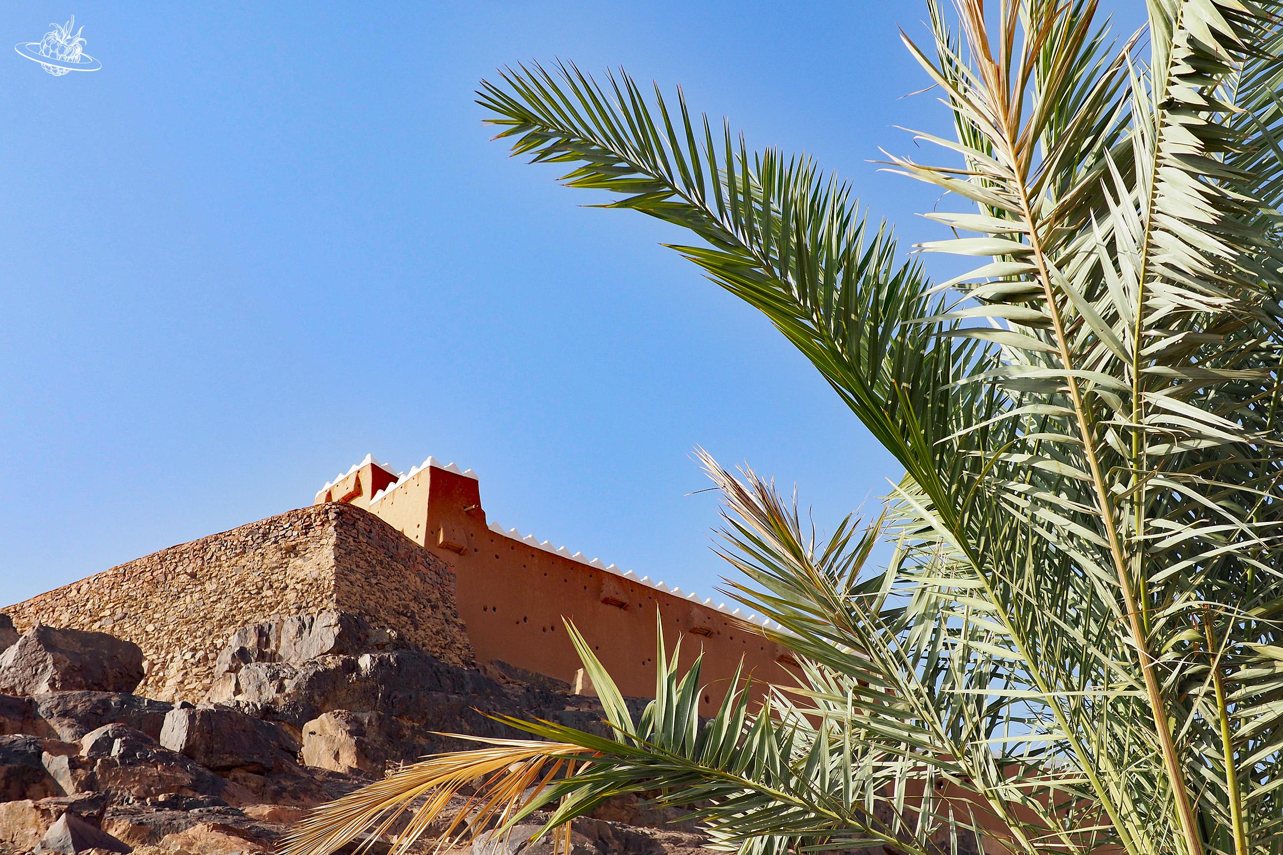 Palme im Vordergrund und im Hintergrund eine Burg