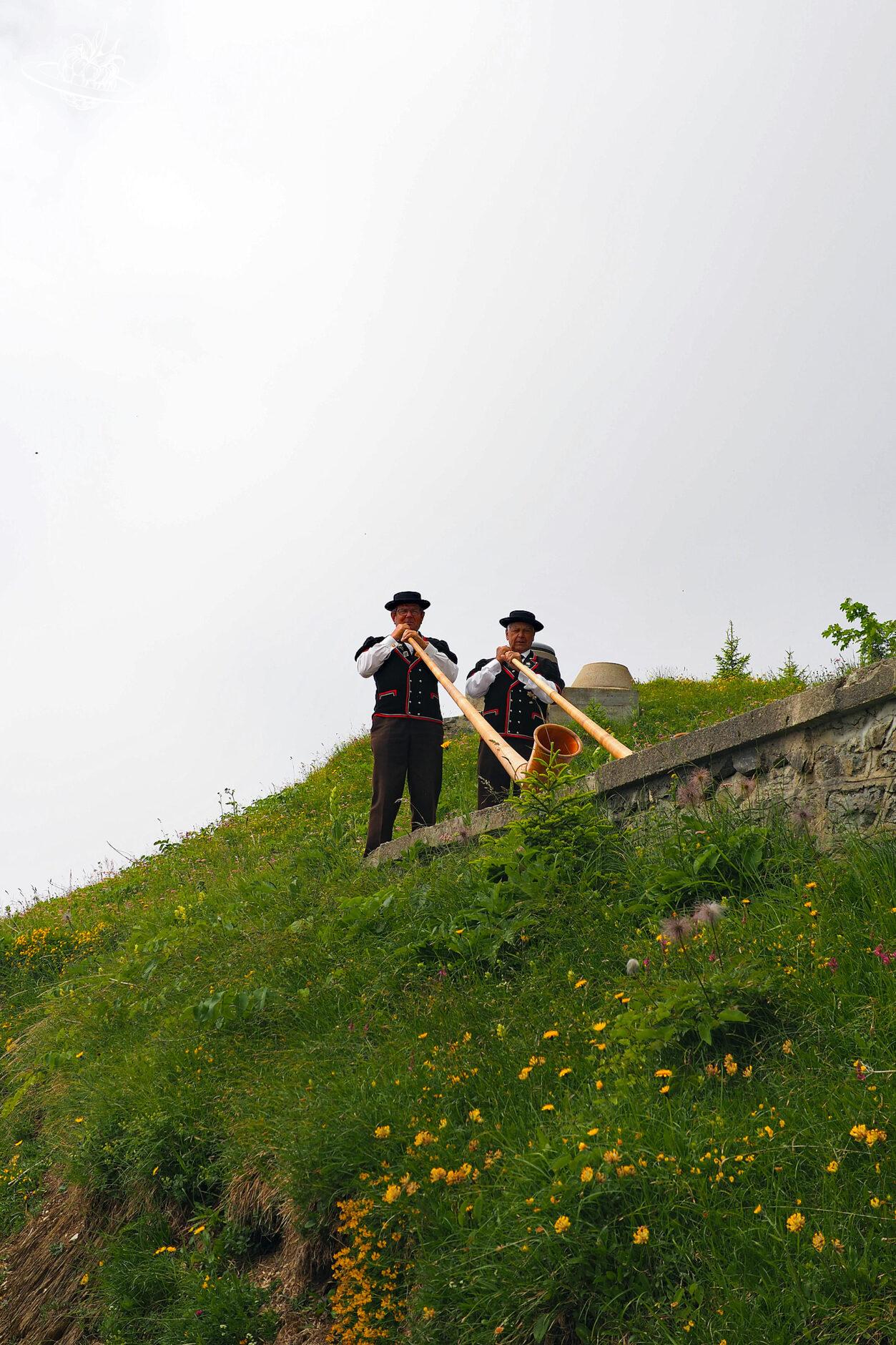 2 Männer, die Alphorn spielen