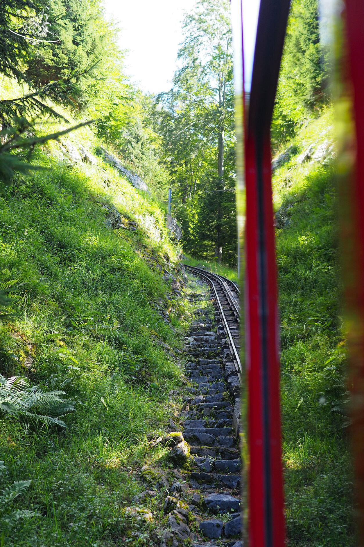 Blick aus dem Zugfenster auf die Bergstrecke