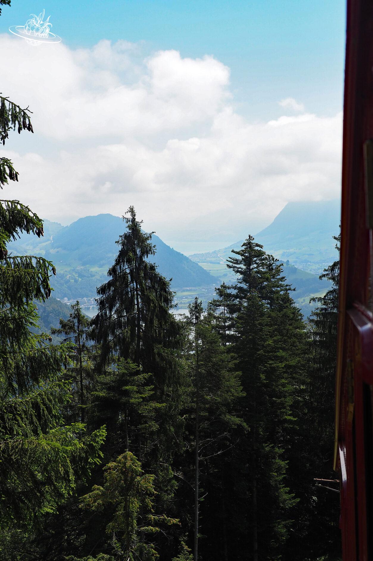 Sicht auf Wald und See