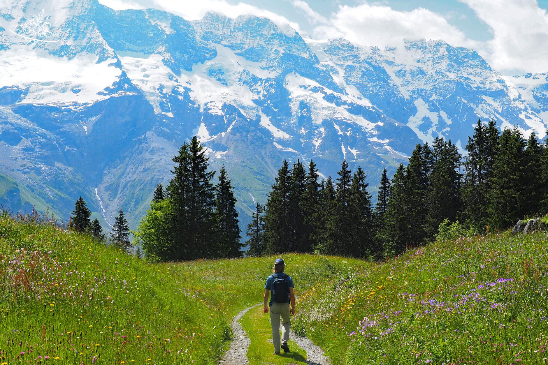Man auf grüner Wiese