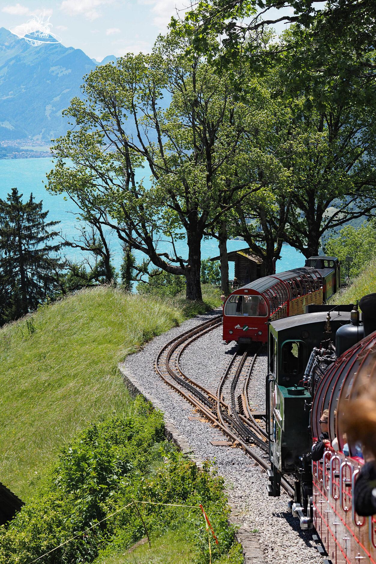 Zwei Bergeisenbahnen unterwegs auf der Strecke