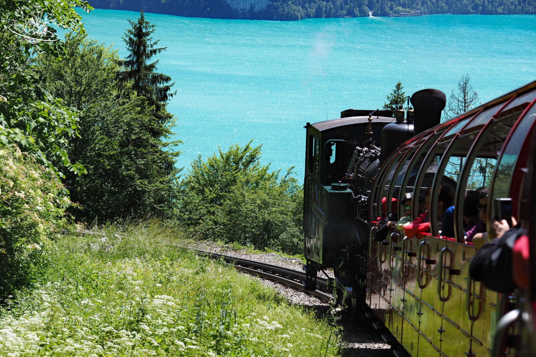 Ein Zug der talwärts fährt