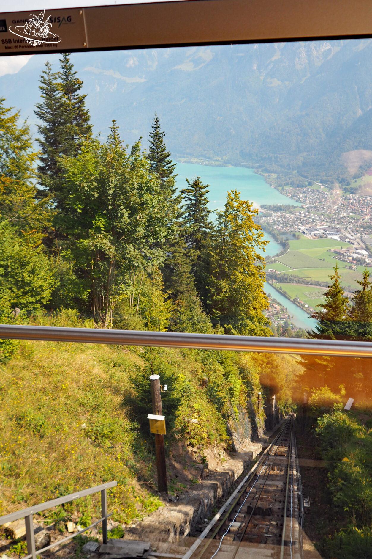 Blick vom Zug aus auf das Tal