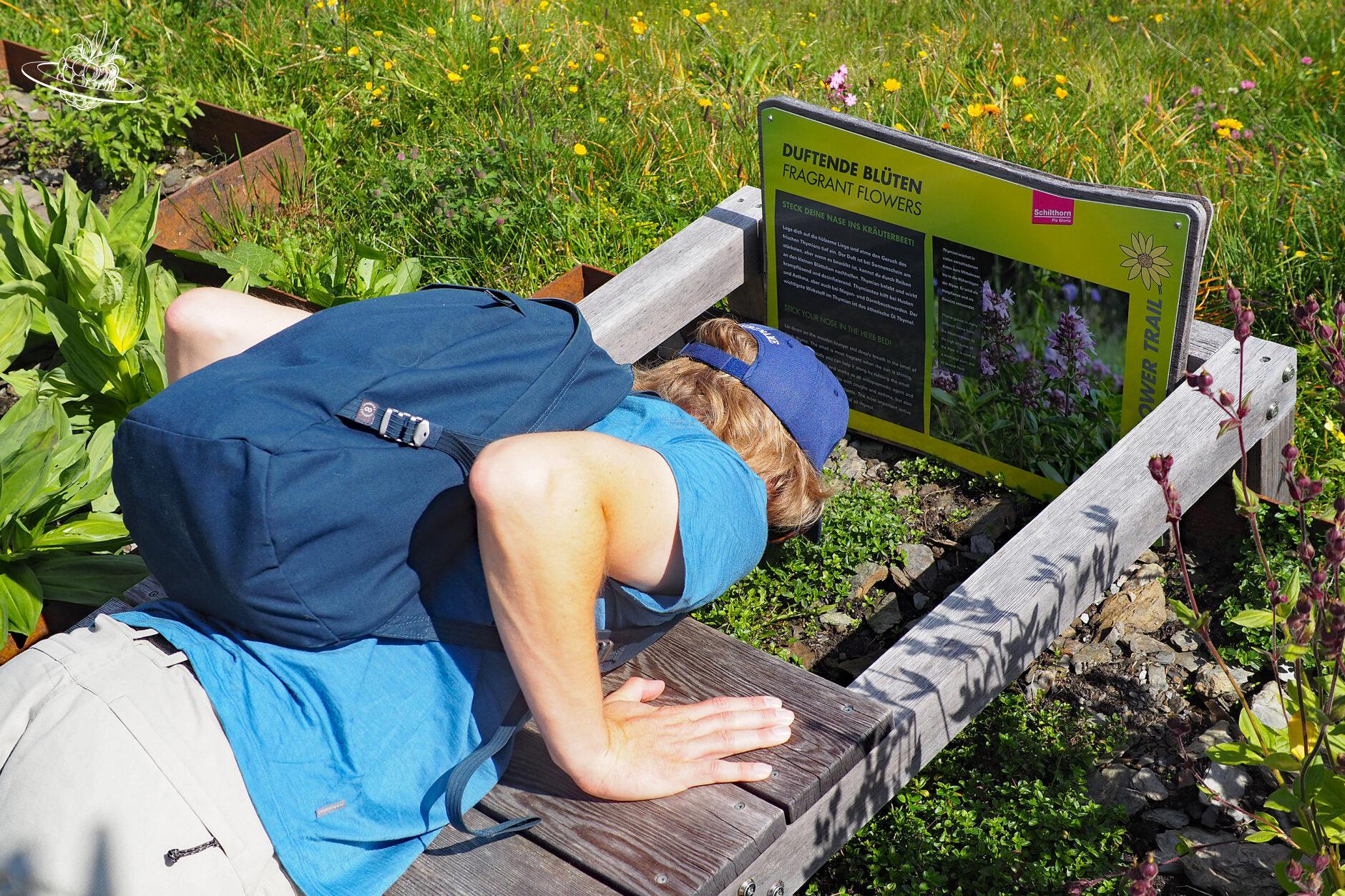 Mann riecht an Kräutern