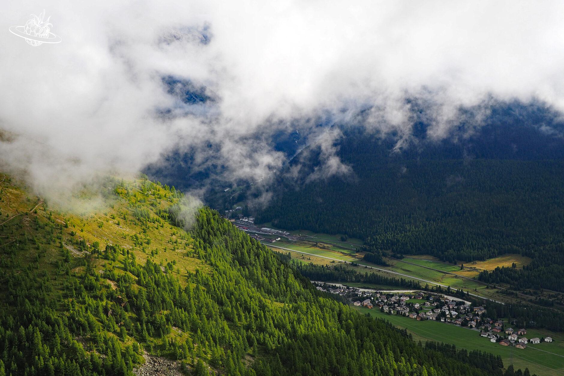 Wald, Tal und tiefe Wolken