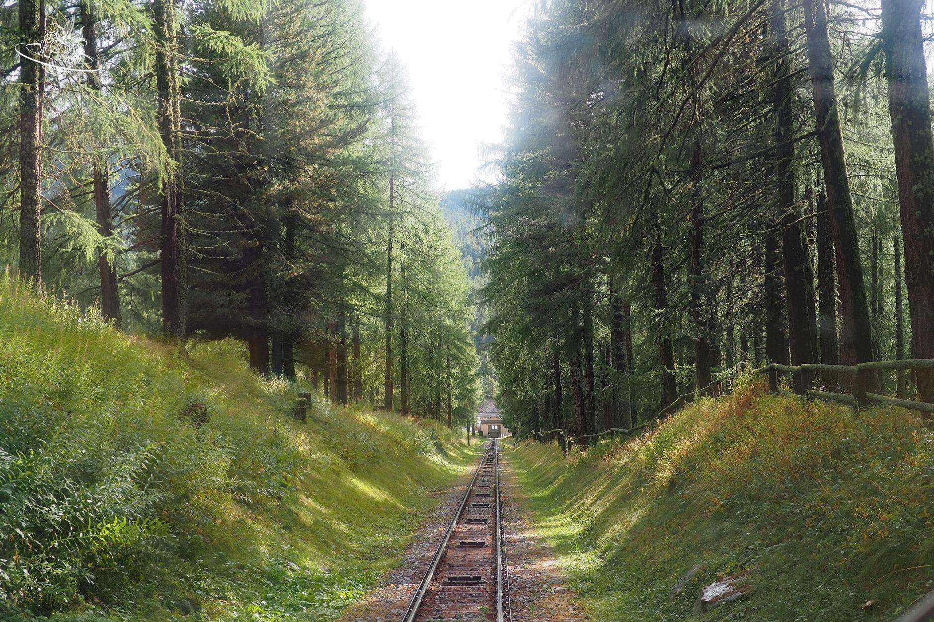 Gleis durch den Wald