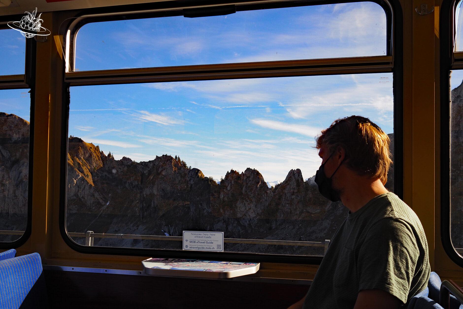 Mann sitzt im Zug mit Blick auf Bergkette
