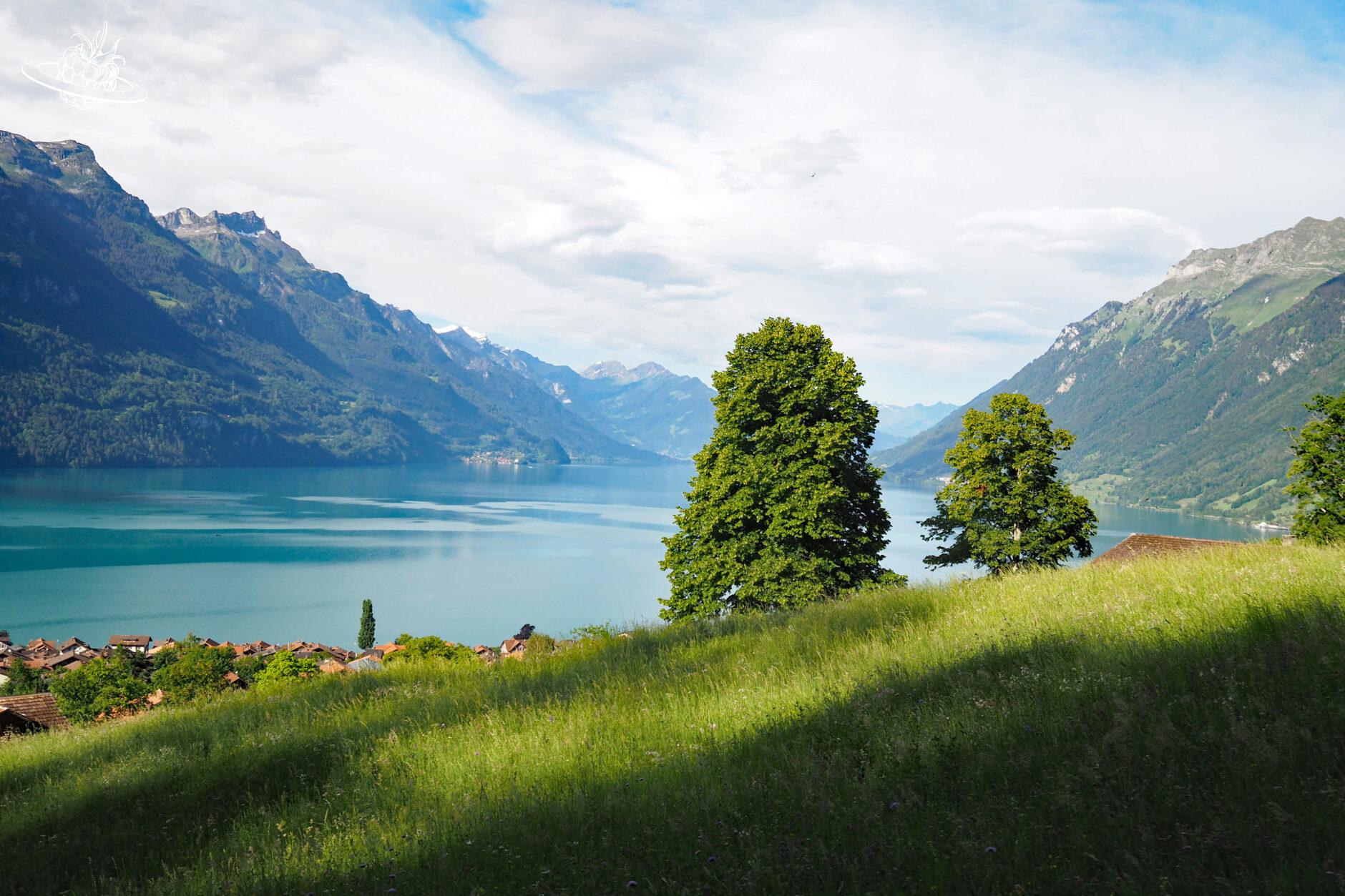 Idyllisches Bild, welches typisch Schweiz darstellt