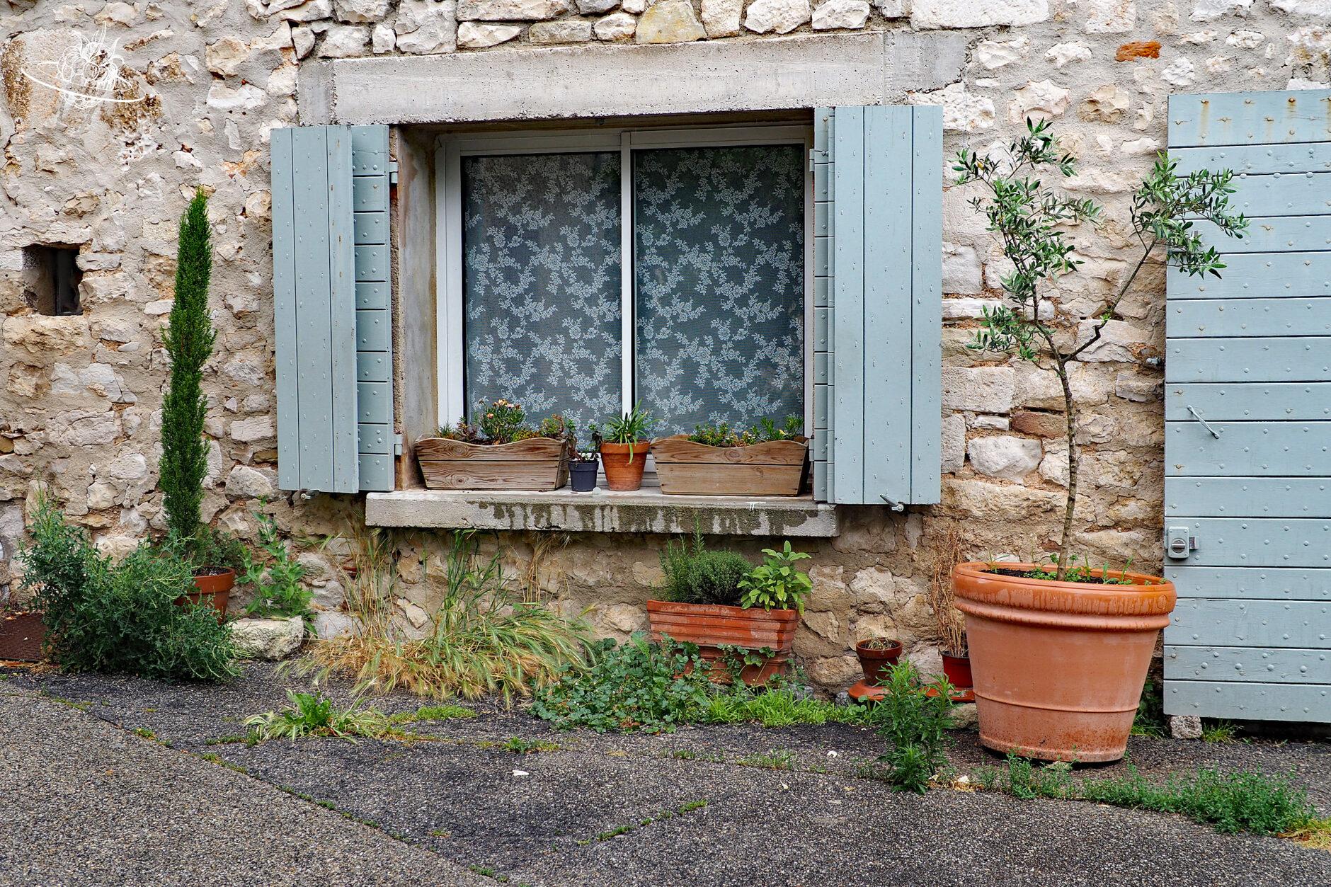 verziertes fenster mit olivenbäumen