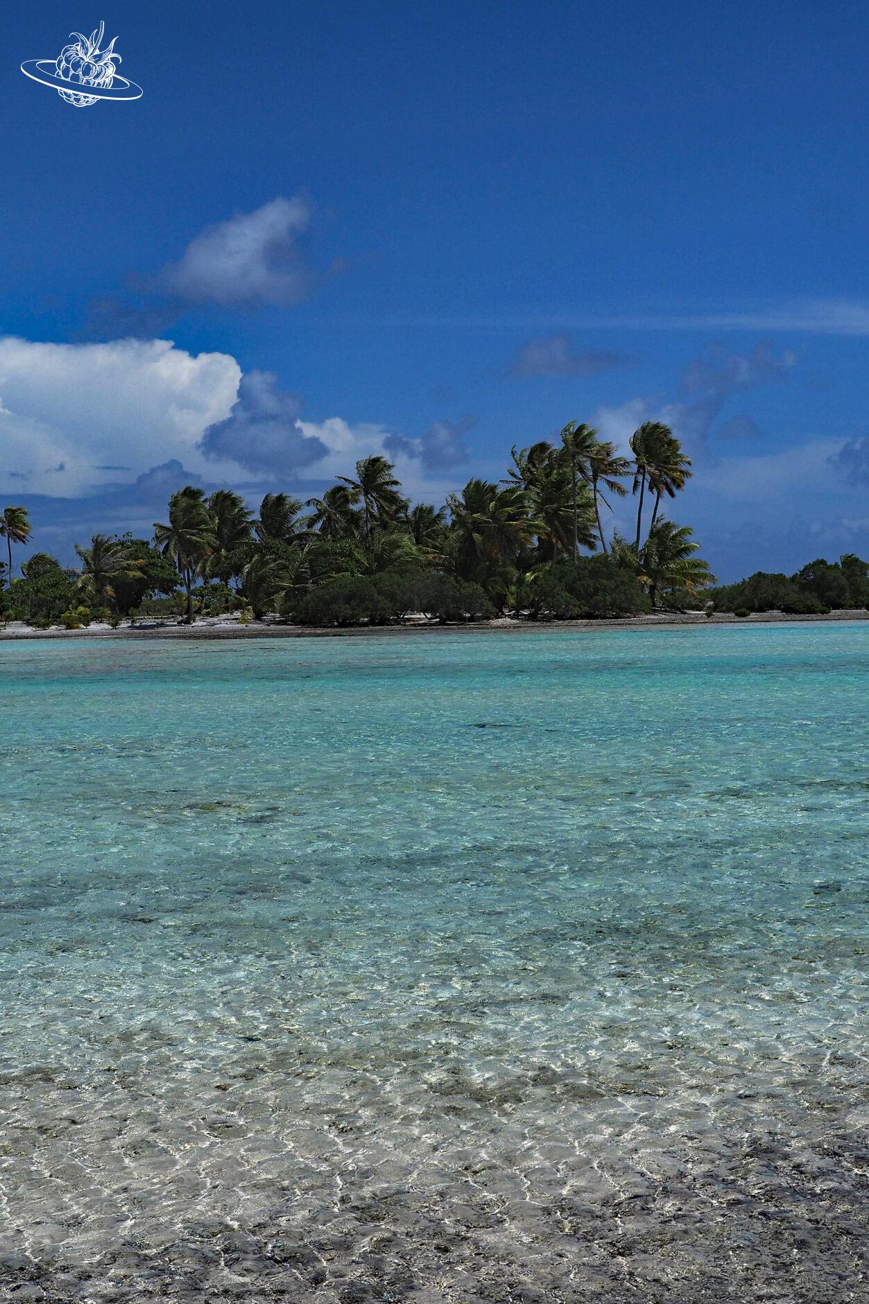 Französisch Polynesien - Tikehau - Palmeninsel