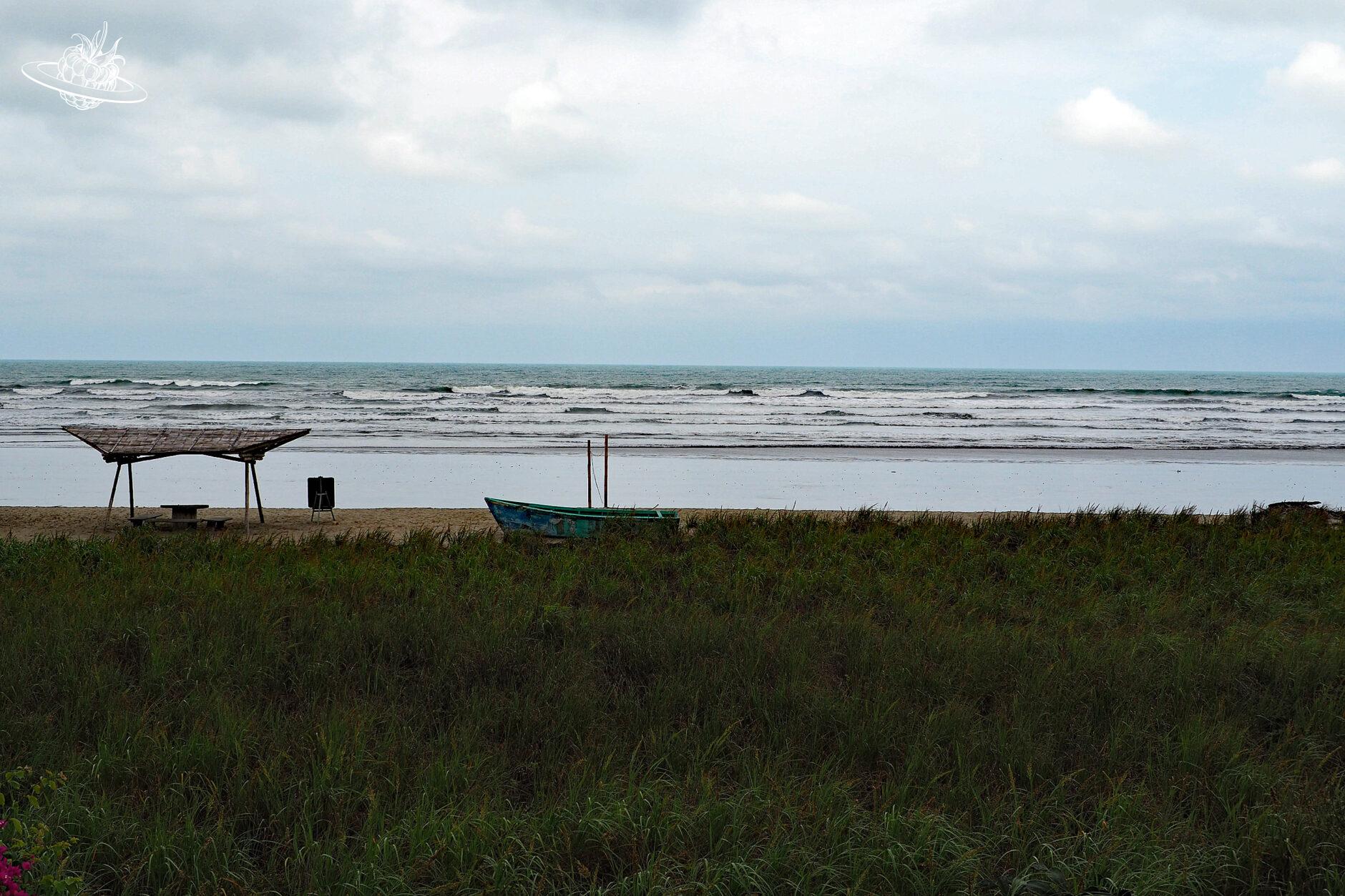 Aussicht auf die Küste