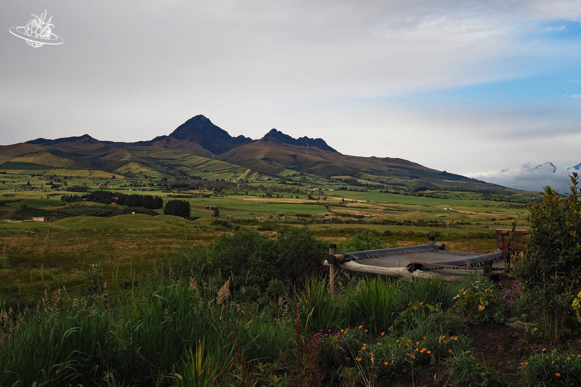 Grüne Umgebung in Ecuador