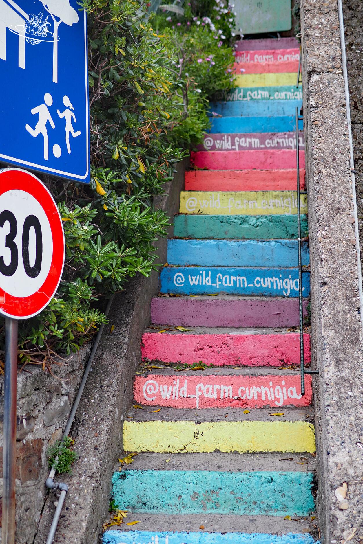 eine farbige Treppe, die pro Stufe jeweils anders gefärbt ist