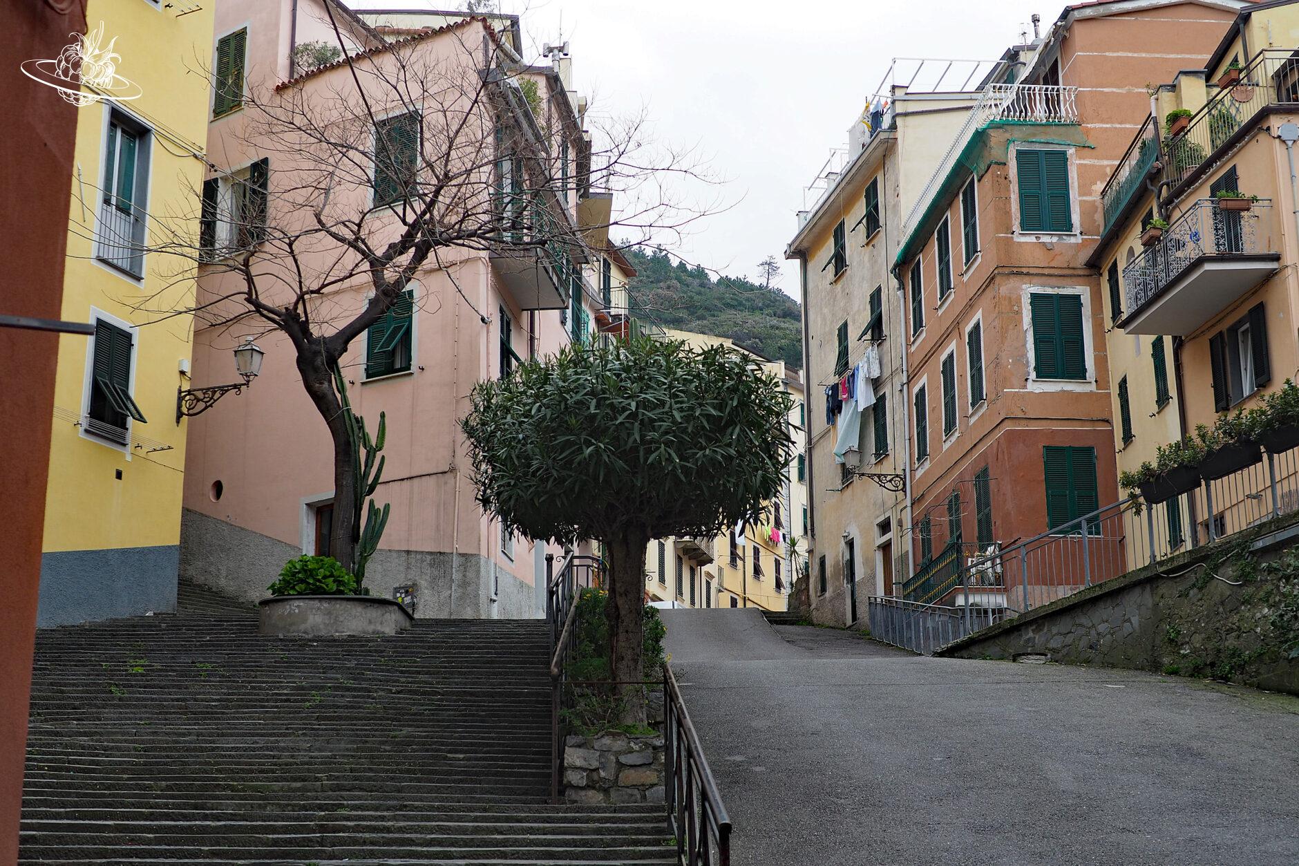 Links und rechts Häuser und in der Mitte stehen Bäume