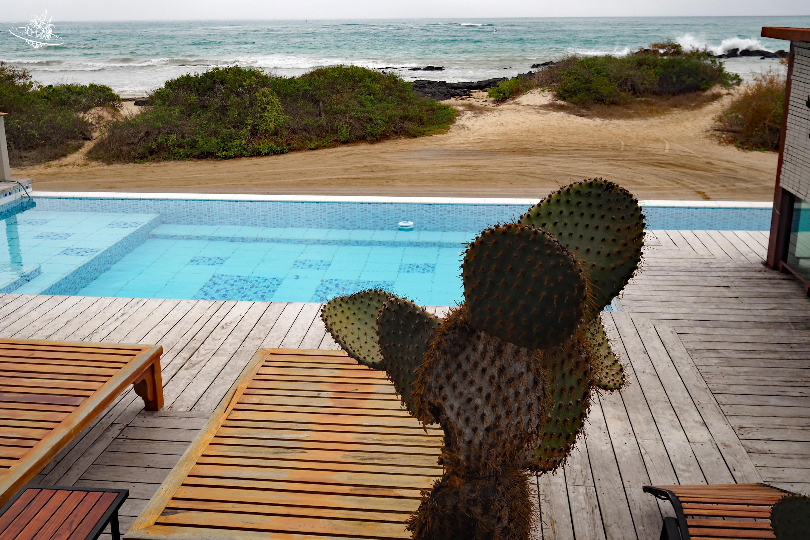 Pool am Strand mit Meersicht