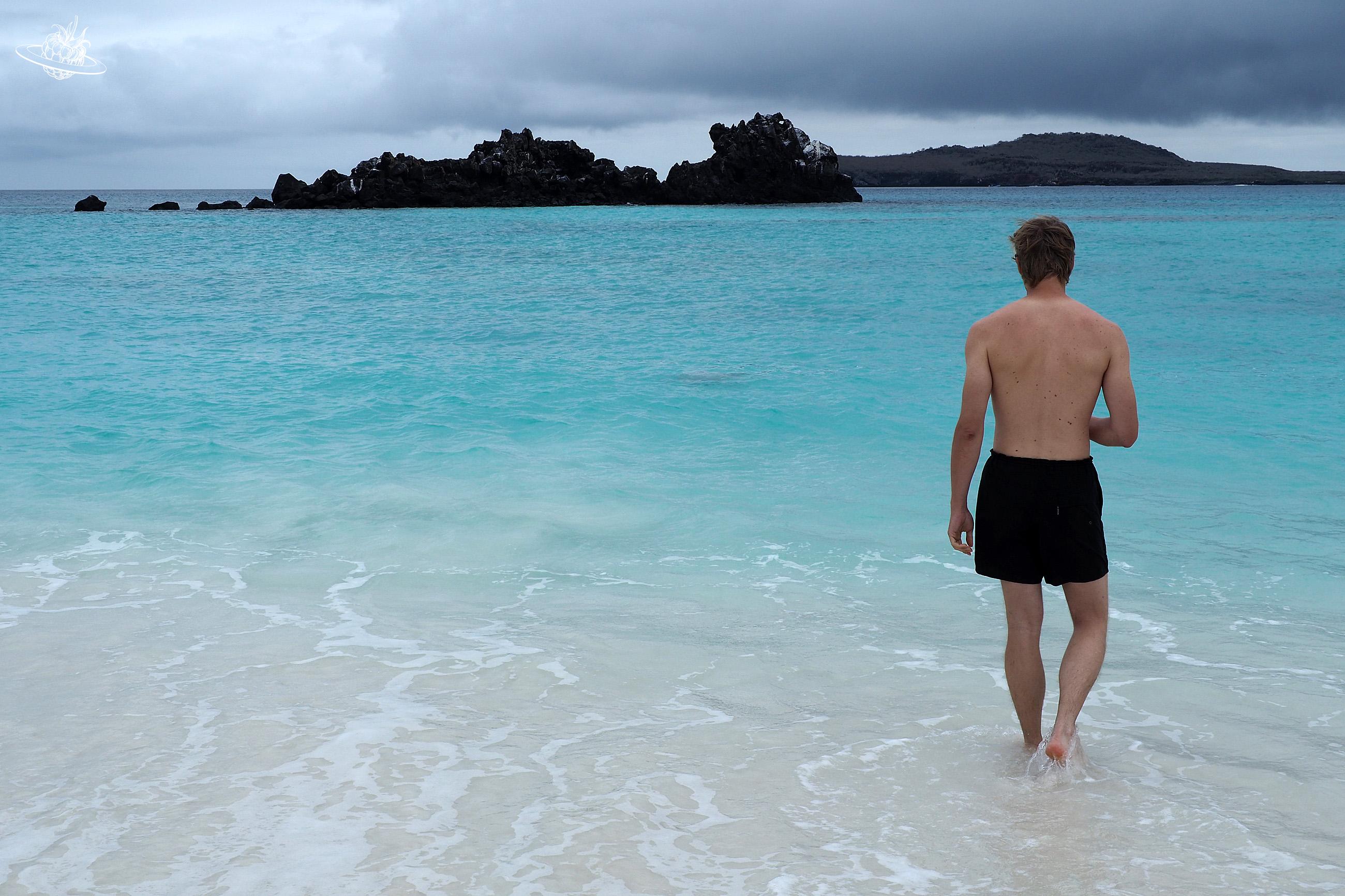 stefan von wunderberry geht ins wasser