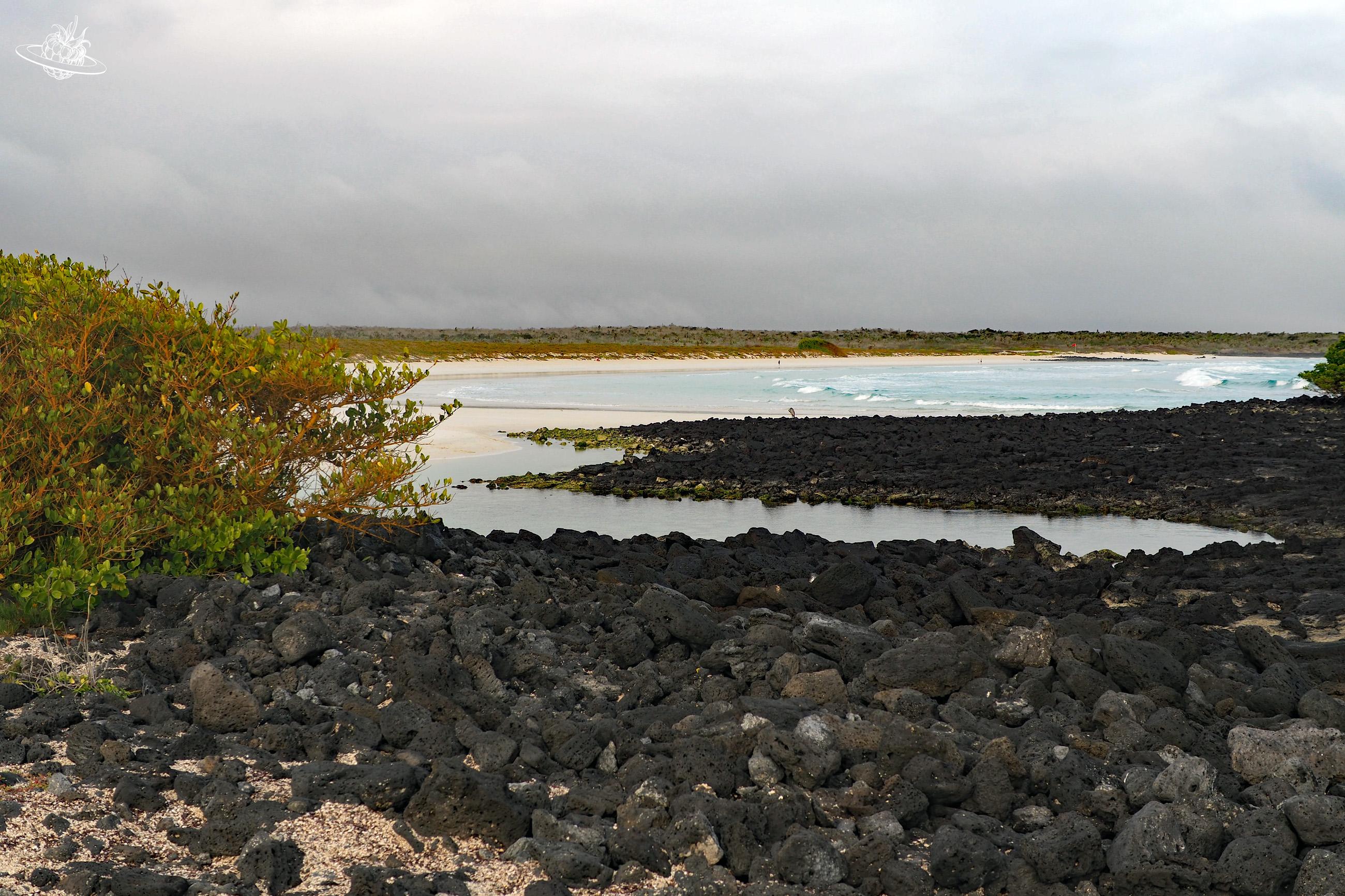 Blick auf schwarze klippen und das Meer