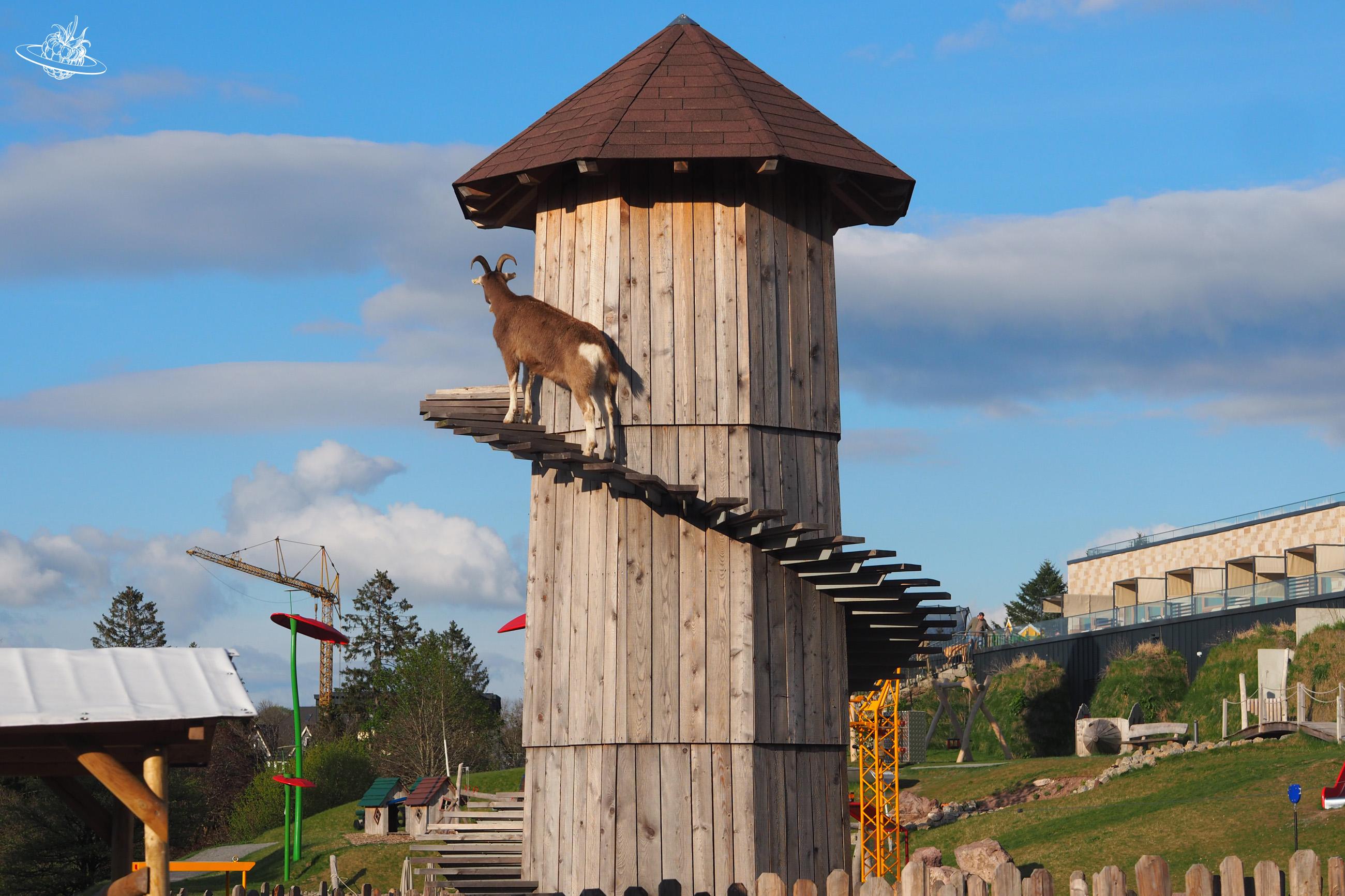Tier auf einer Treppe