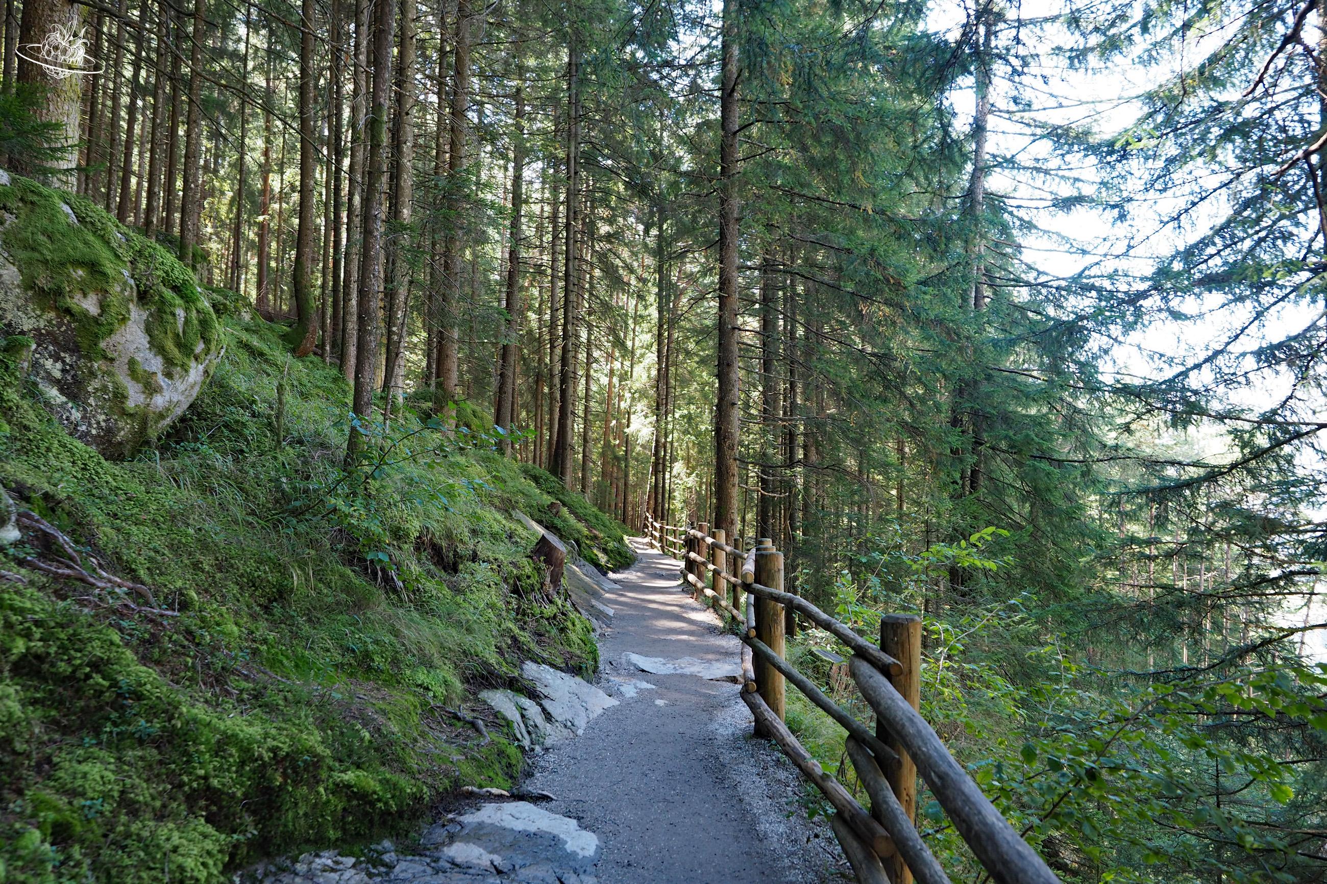 Waldweg