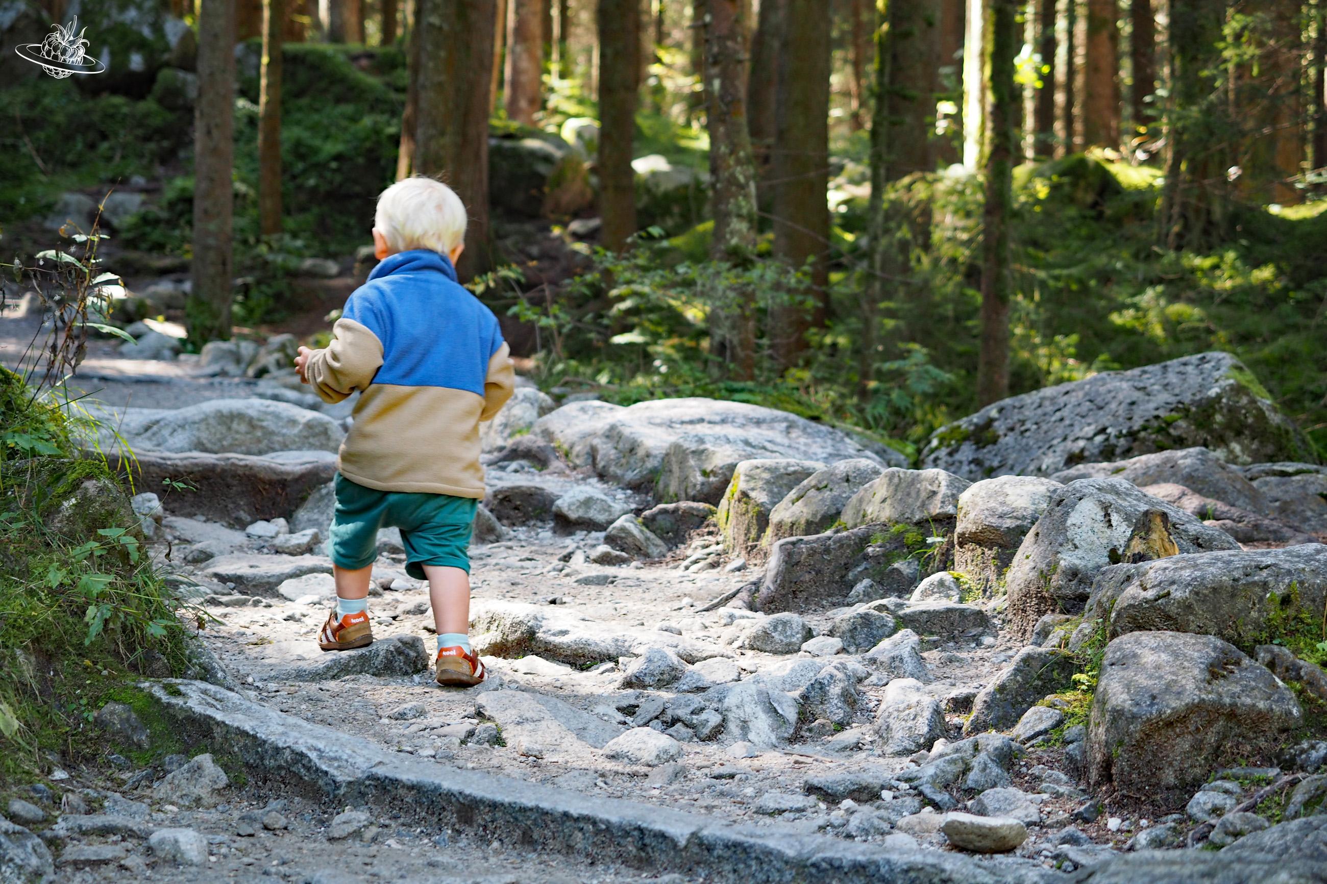 kleiner Bub geht den Waldweg hinauf