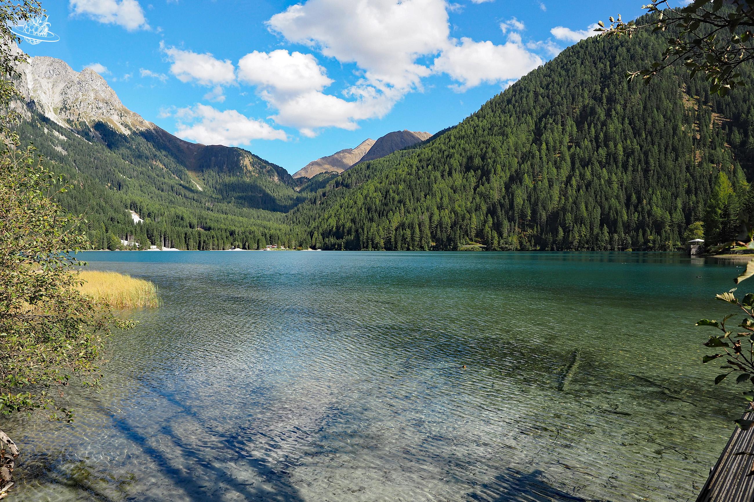 Türkisfarbener See umrundet von viel Wald
