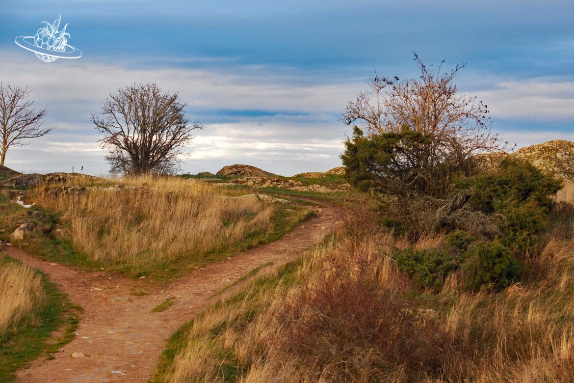 Südostschweden – Eine 10-tägige Rundreise ab Stockholm