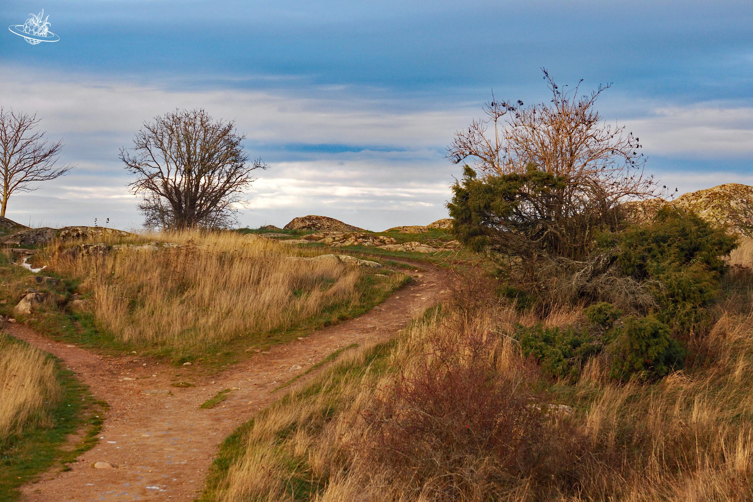 Schöne Natur mit Nachmittagsstimmung