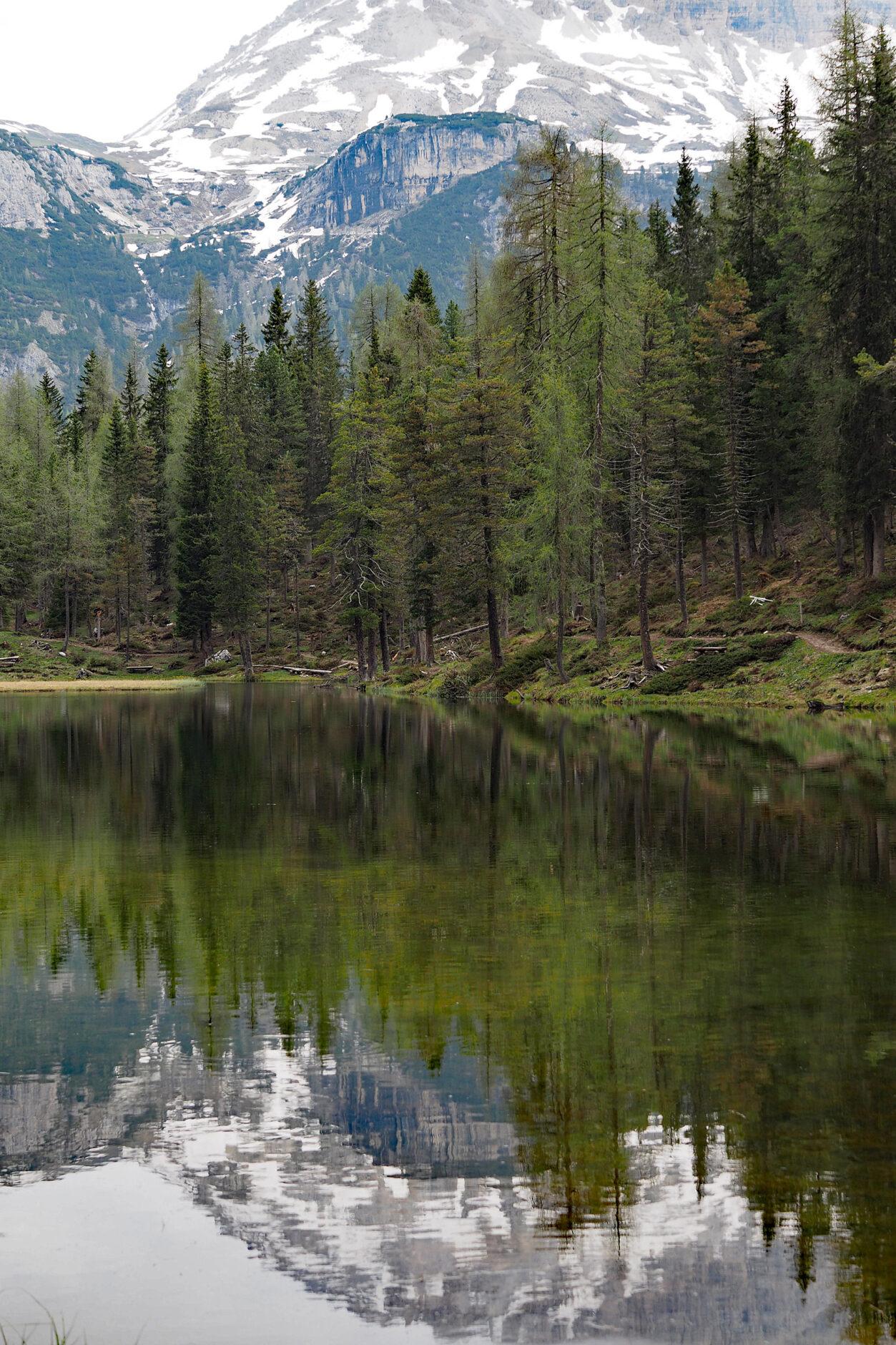 See-Spiegelung mit Wald und Bergen