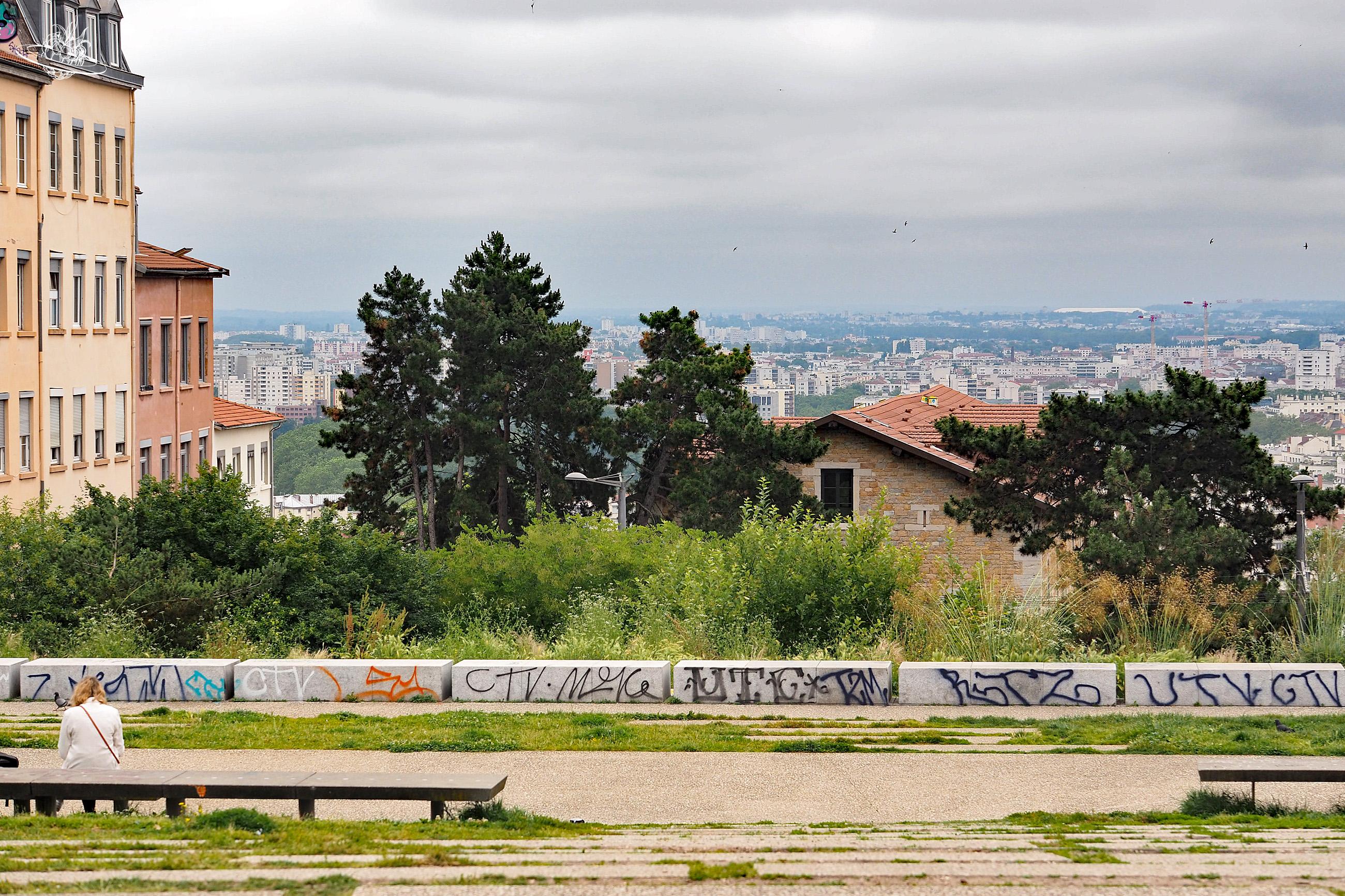 Ausblick auf Busch und Stadt