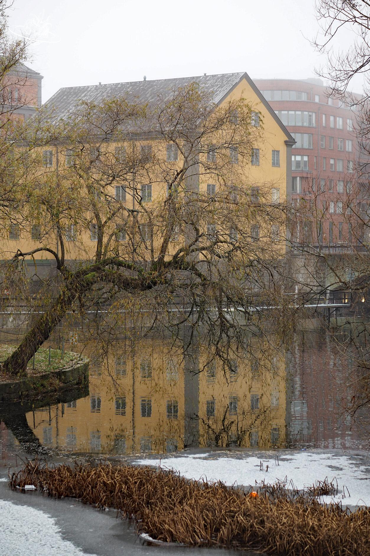 mystische frühwinterliche Stimmung