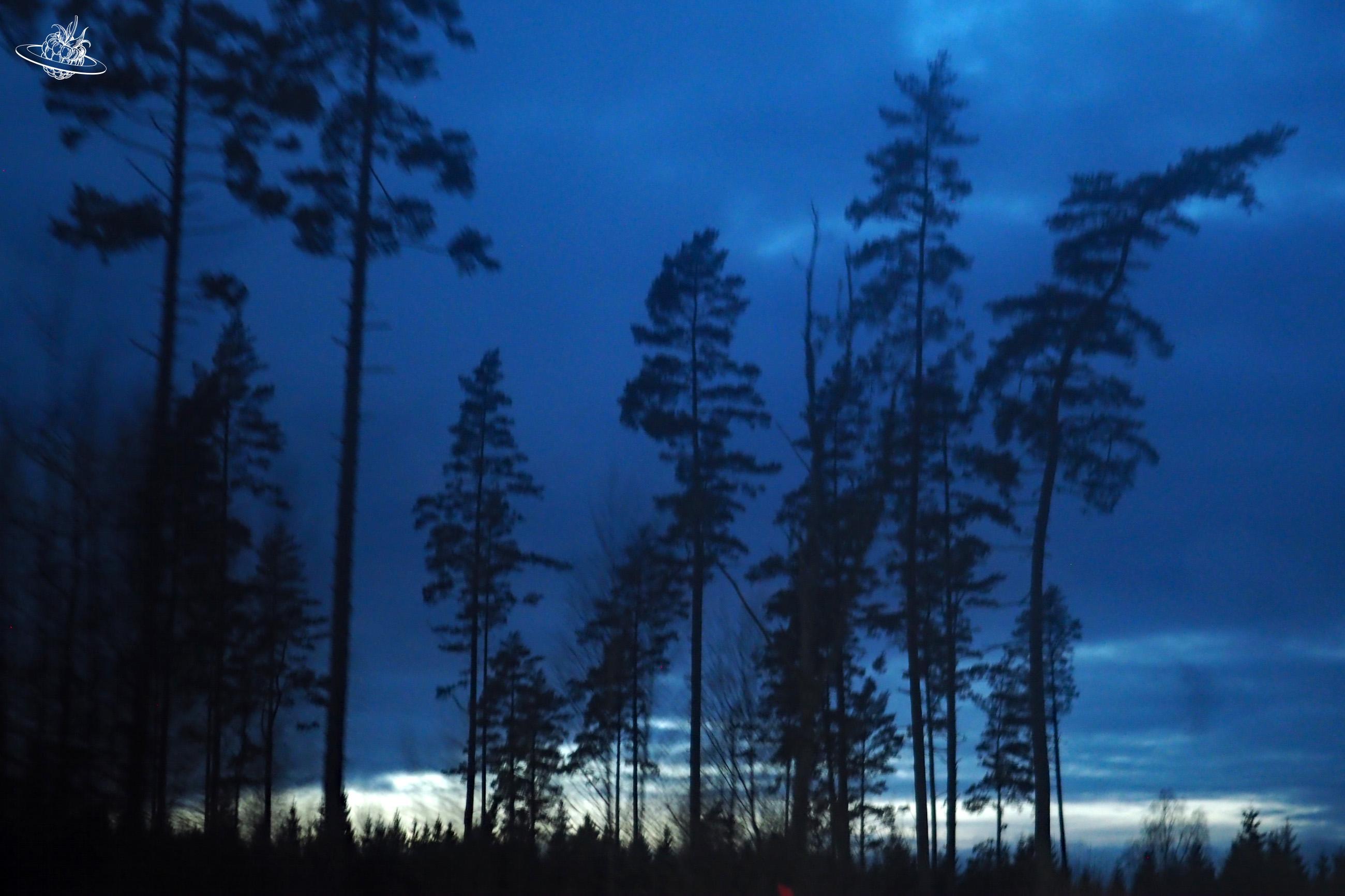 Dämmerung in Südschweden. Im November ab 16.00 Uhr ist dunkel