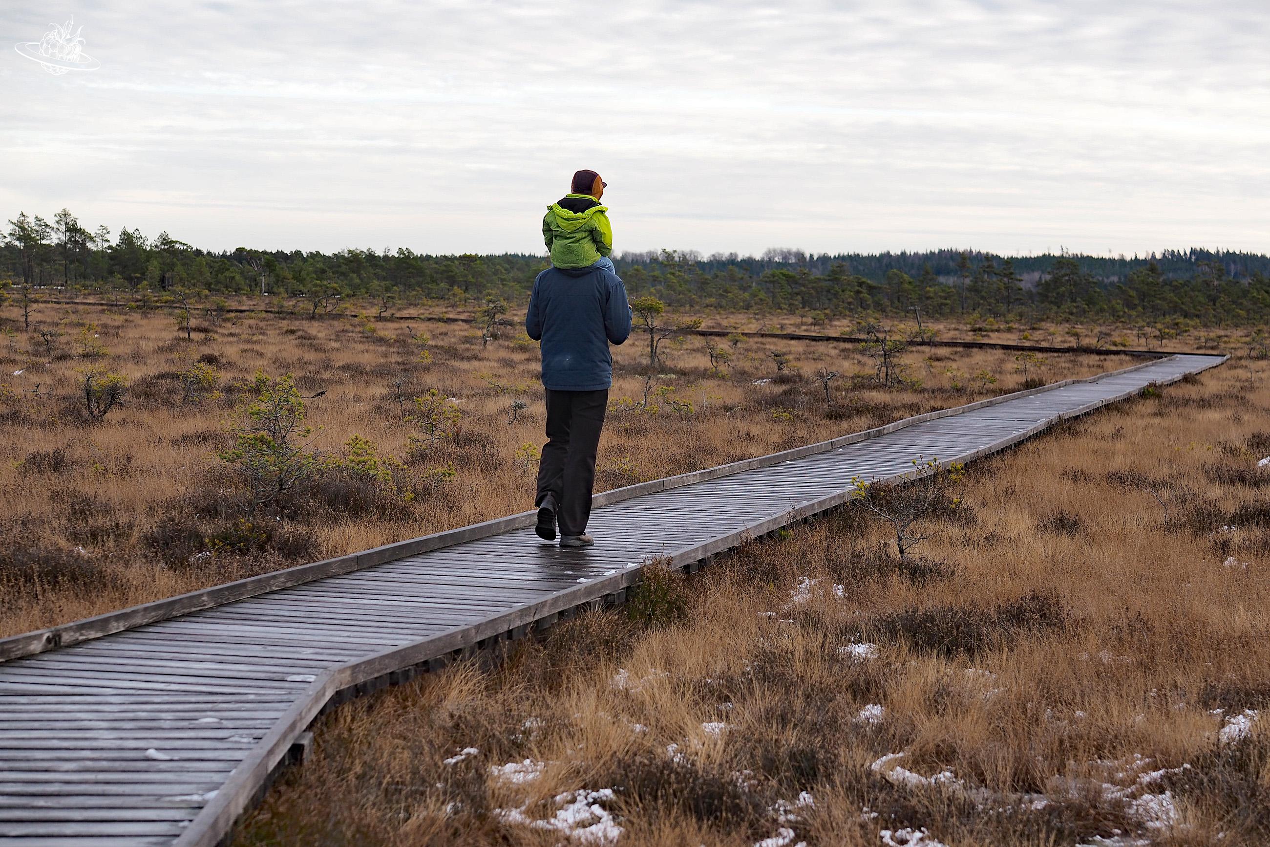Wunderberry im Nationalpark