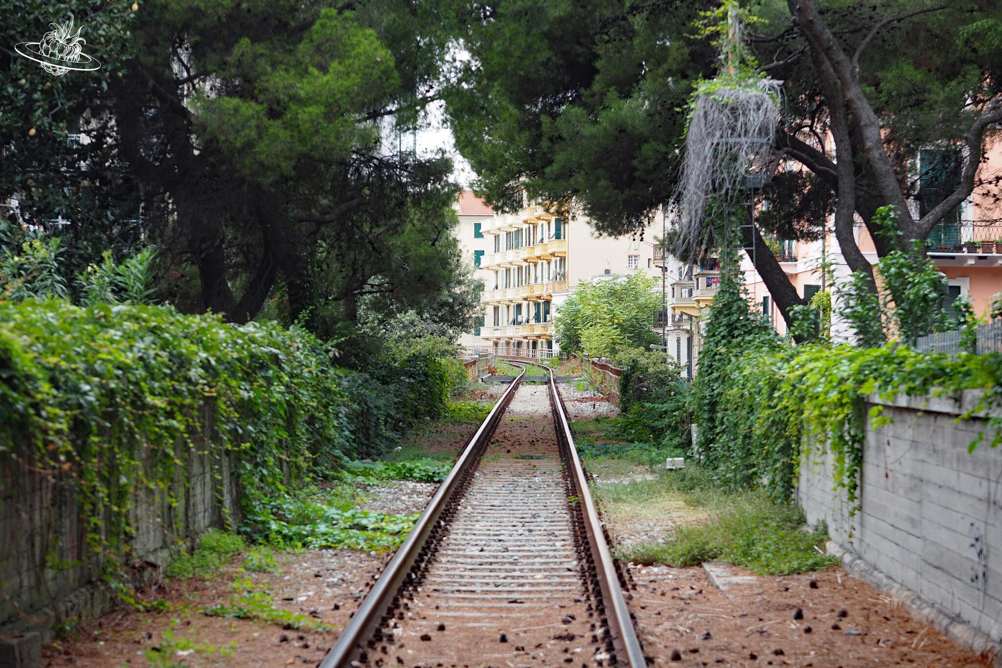 EurAsia by train Part 15: Bahnreise von Turin nach Florenz
