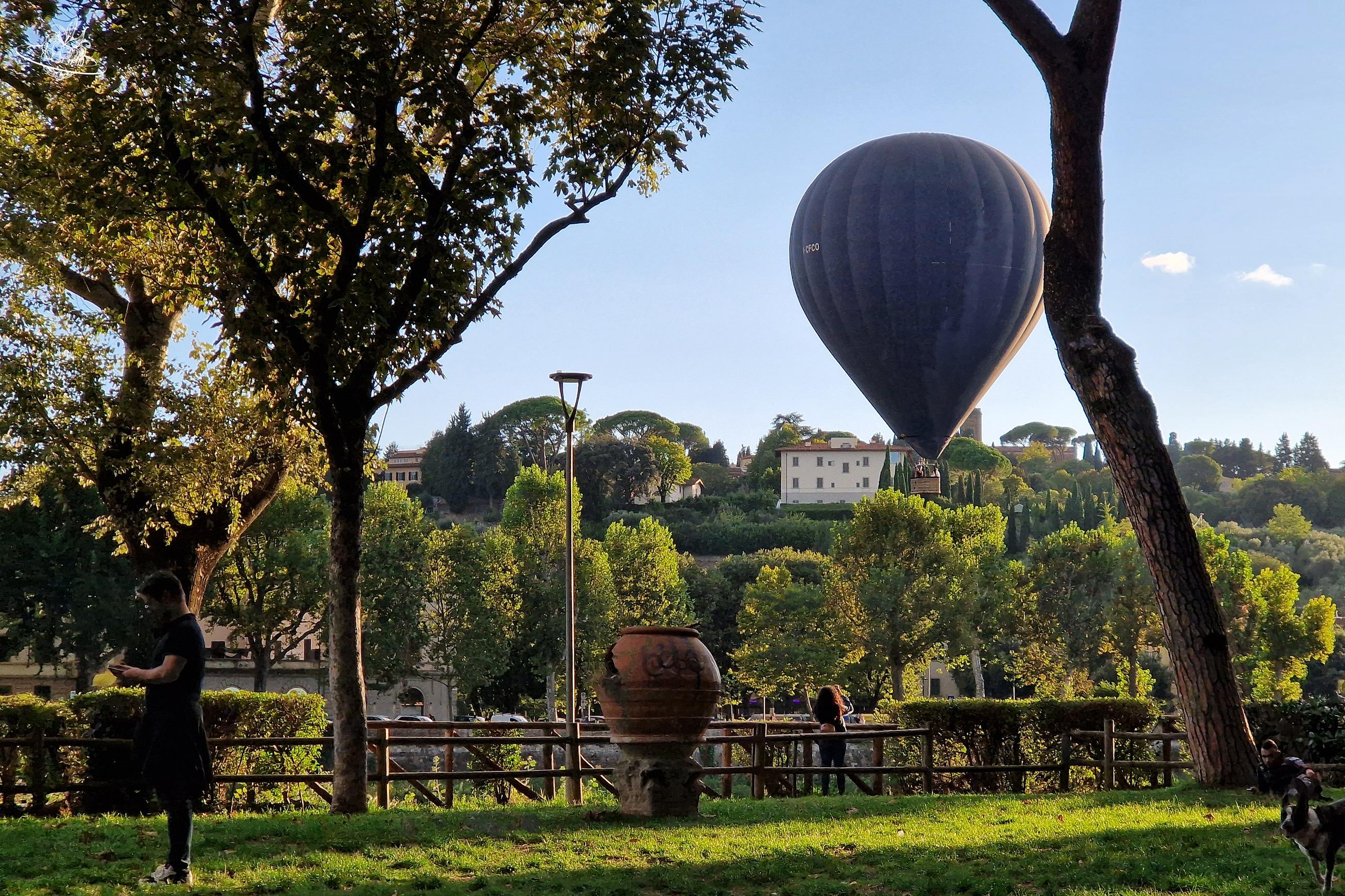 Heissluftballon über grünem Park