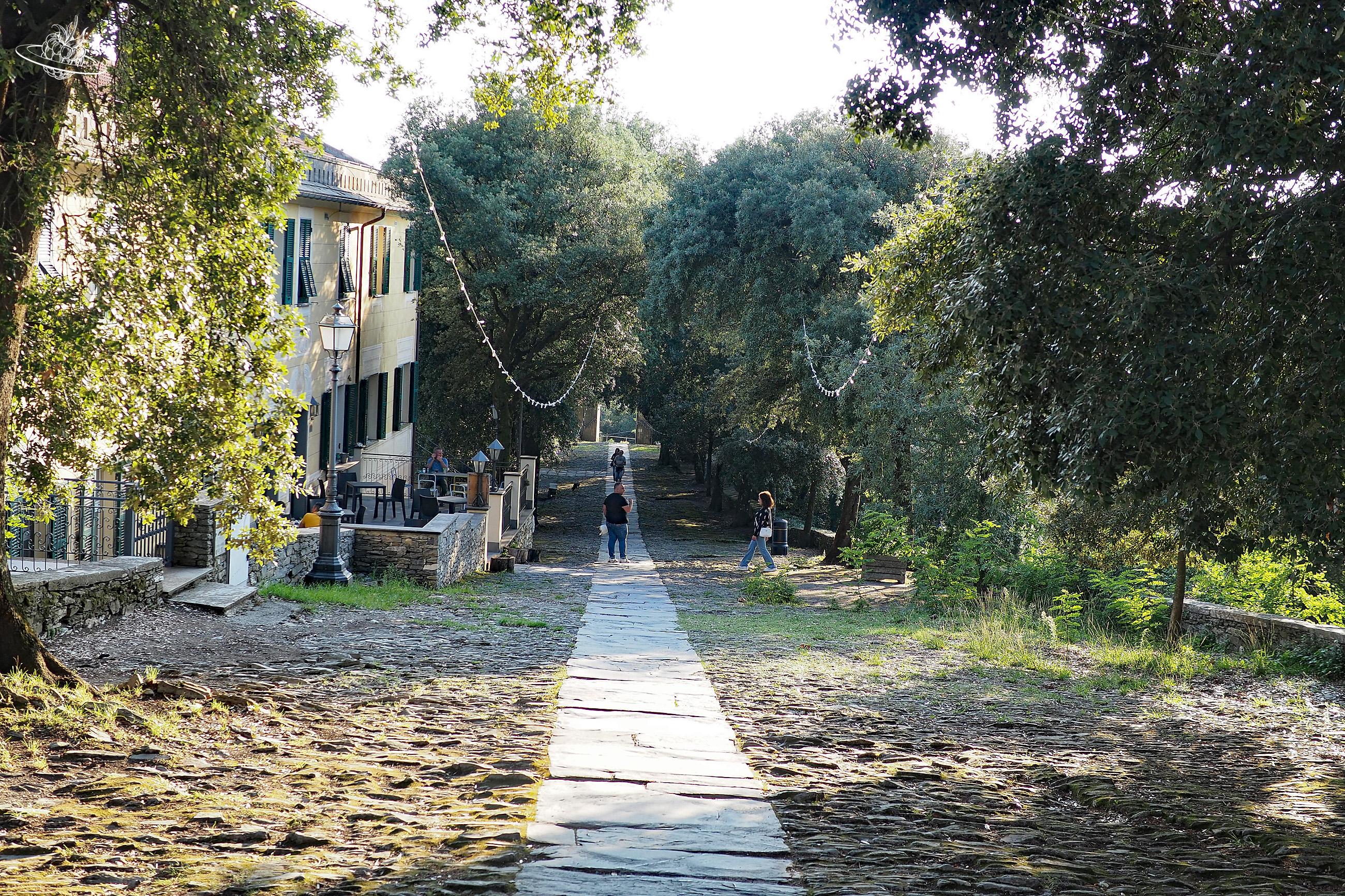 Lange Weg aus Steinplatten, gesäumt von alten Bäumen