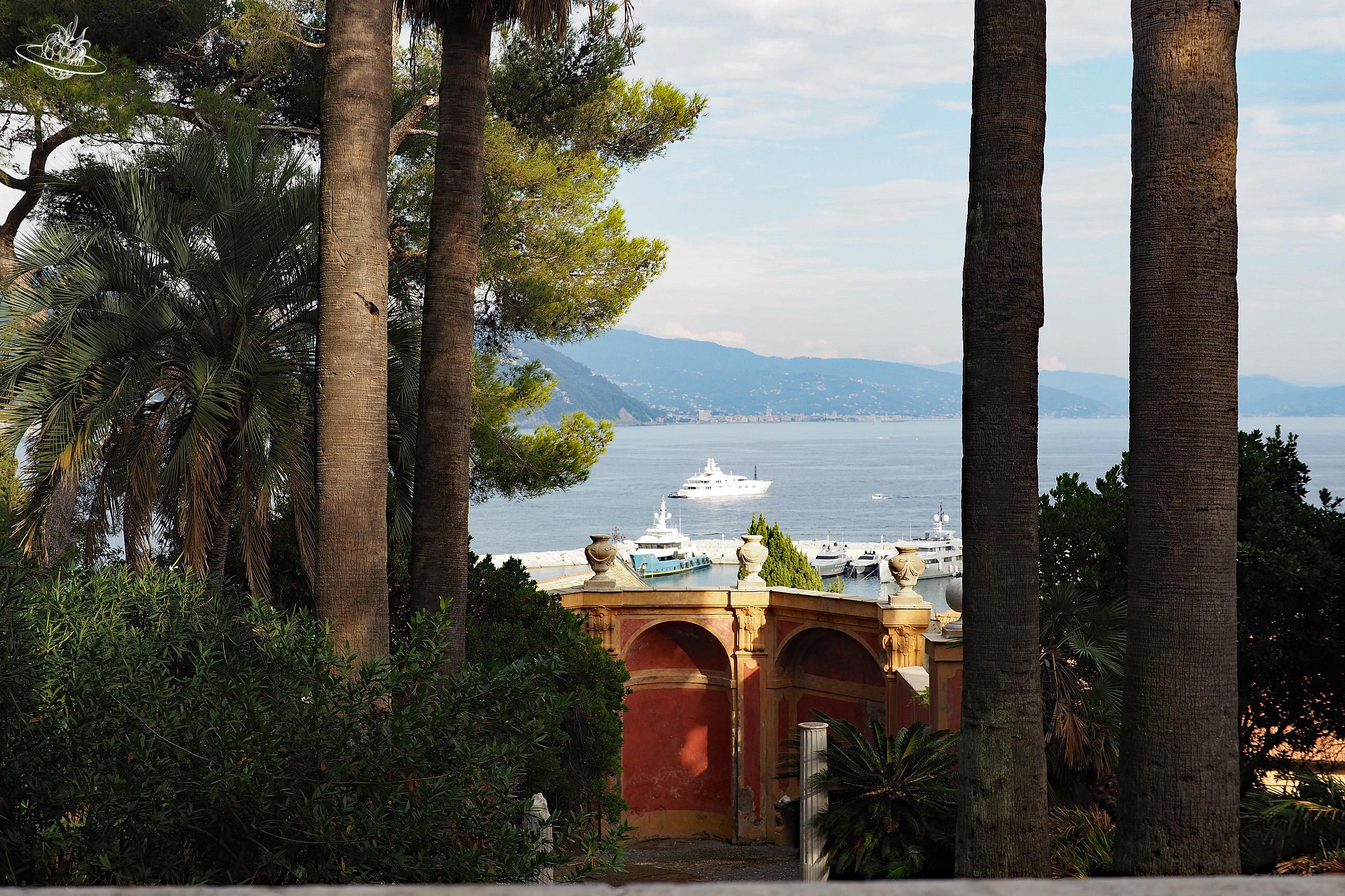 Blick zwischen zwei Palmen auf das Meer