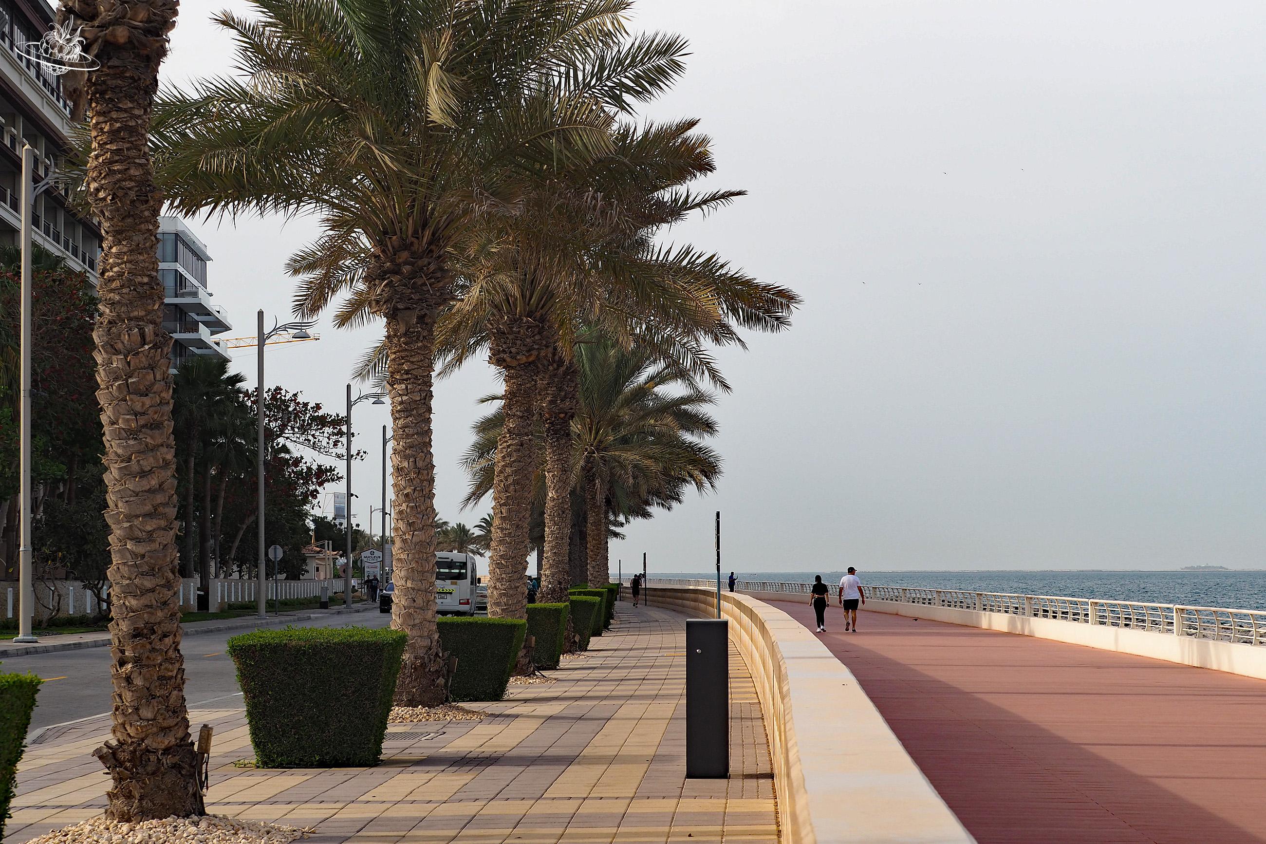 Breite Promenade mit Palmen und Sicht auf das Meer