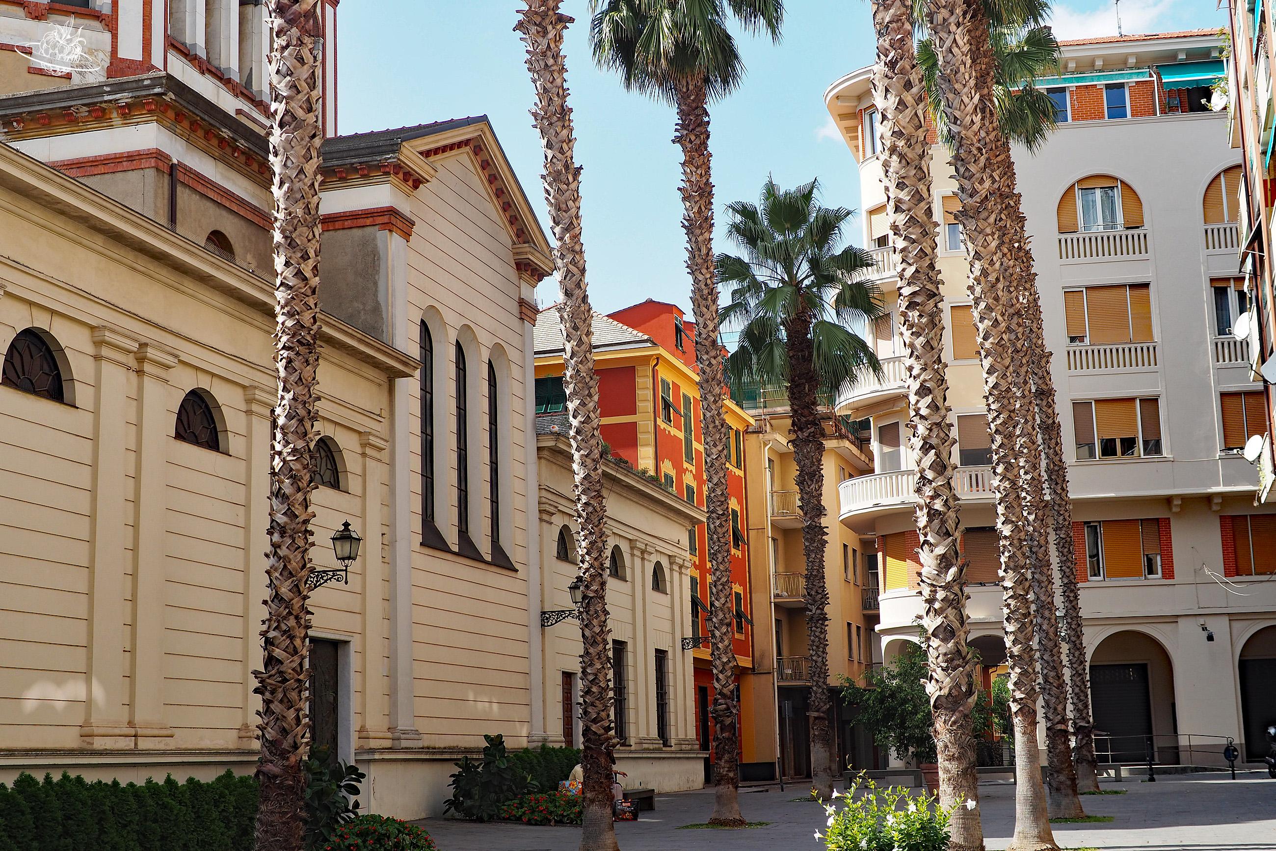 Platz mit Palmen und farbigen Häusern