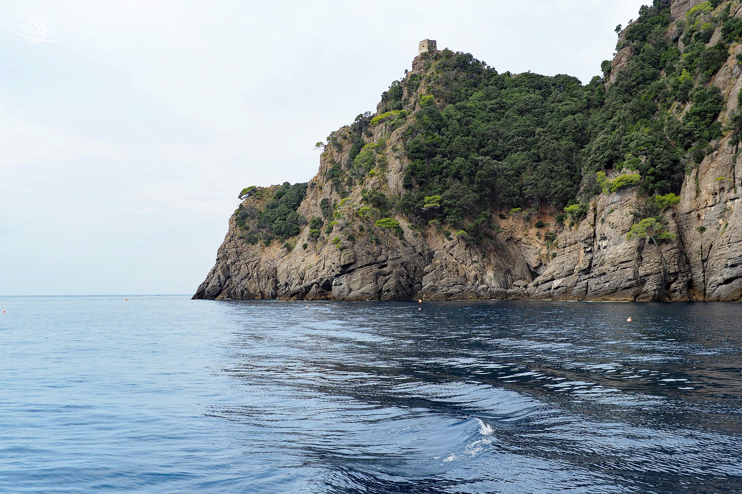 Blick auf Felsengestein mit viel Bäumen