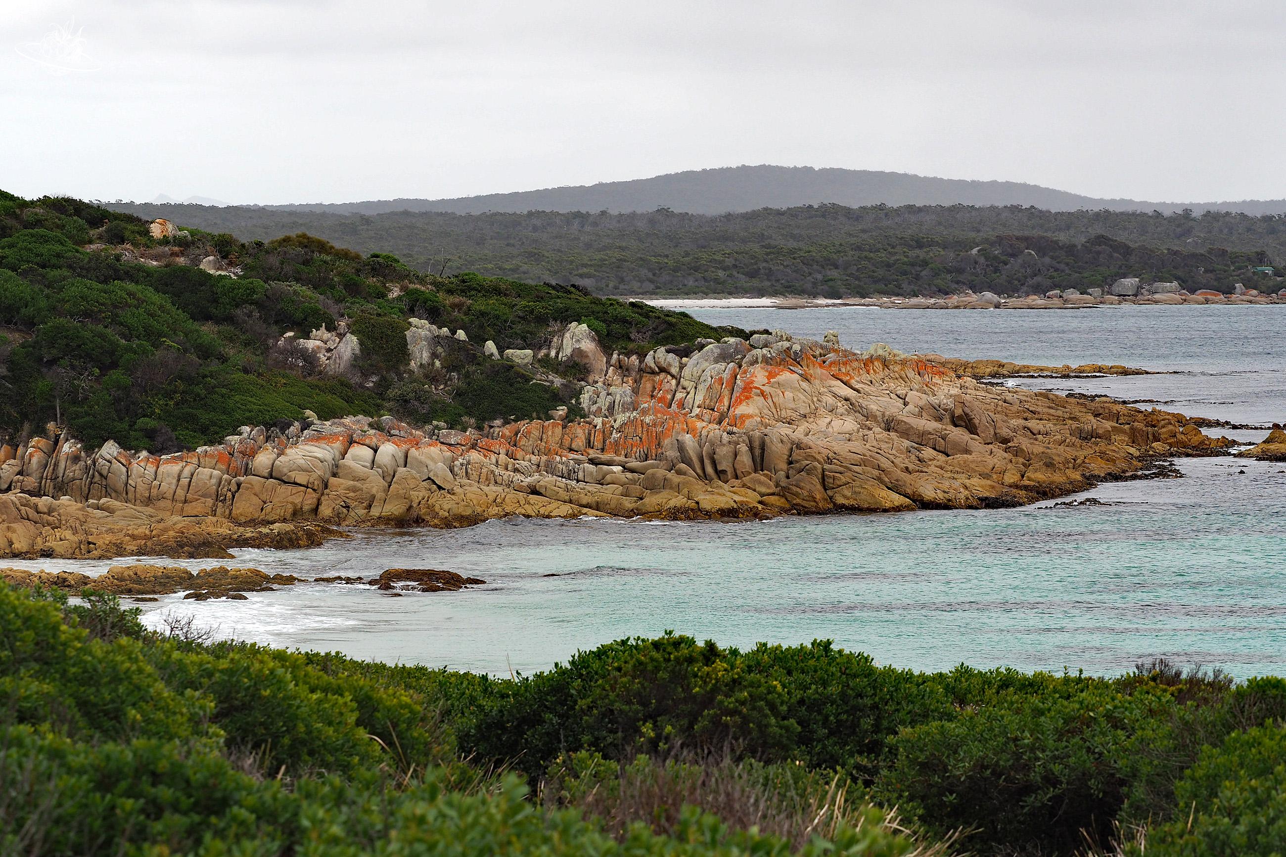 Ansons Bay Tasmanien, Lutruwita