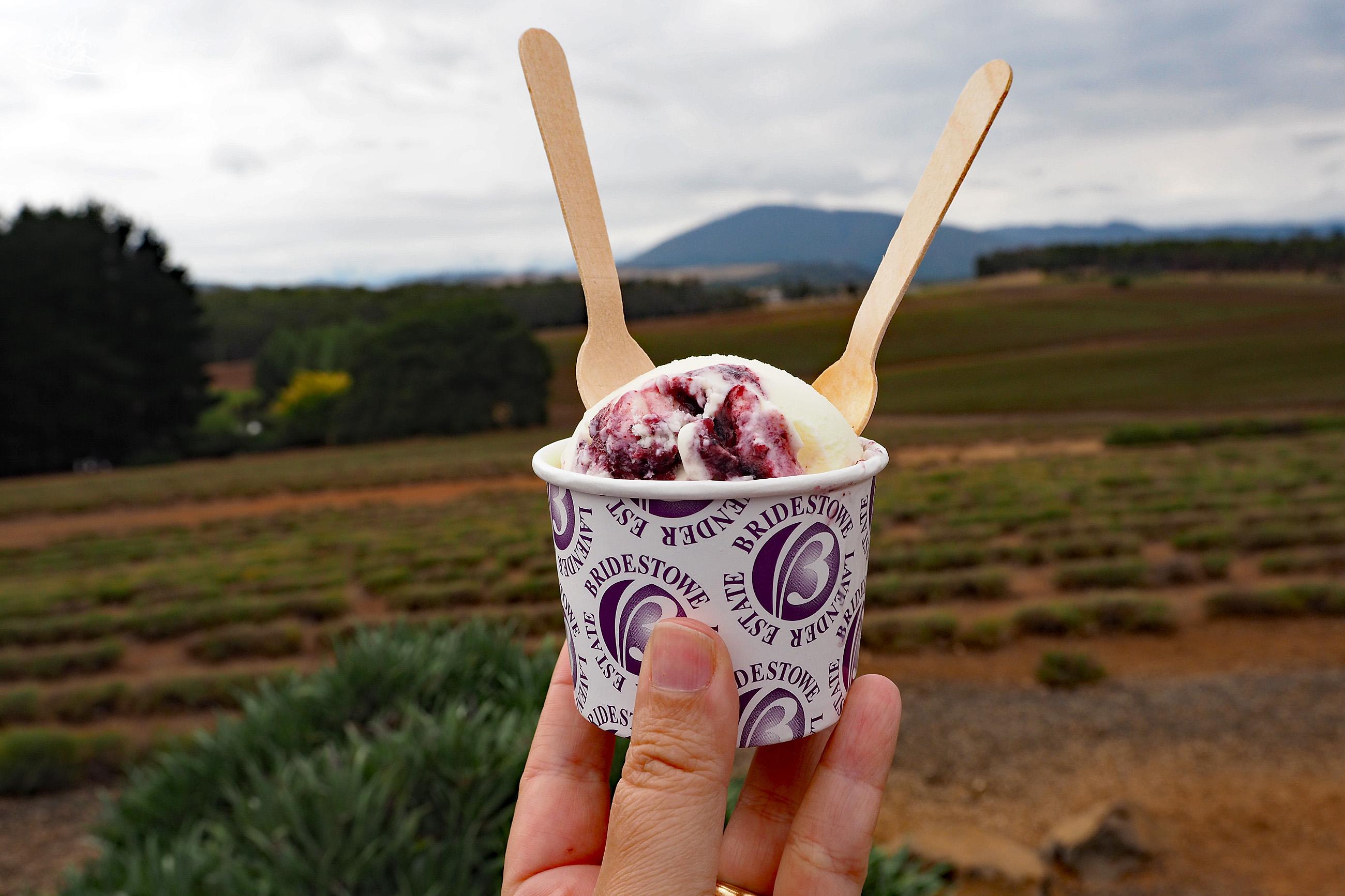 Lavendel Eis im Bridestowe Lavender Estate