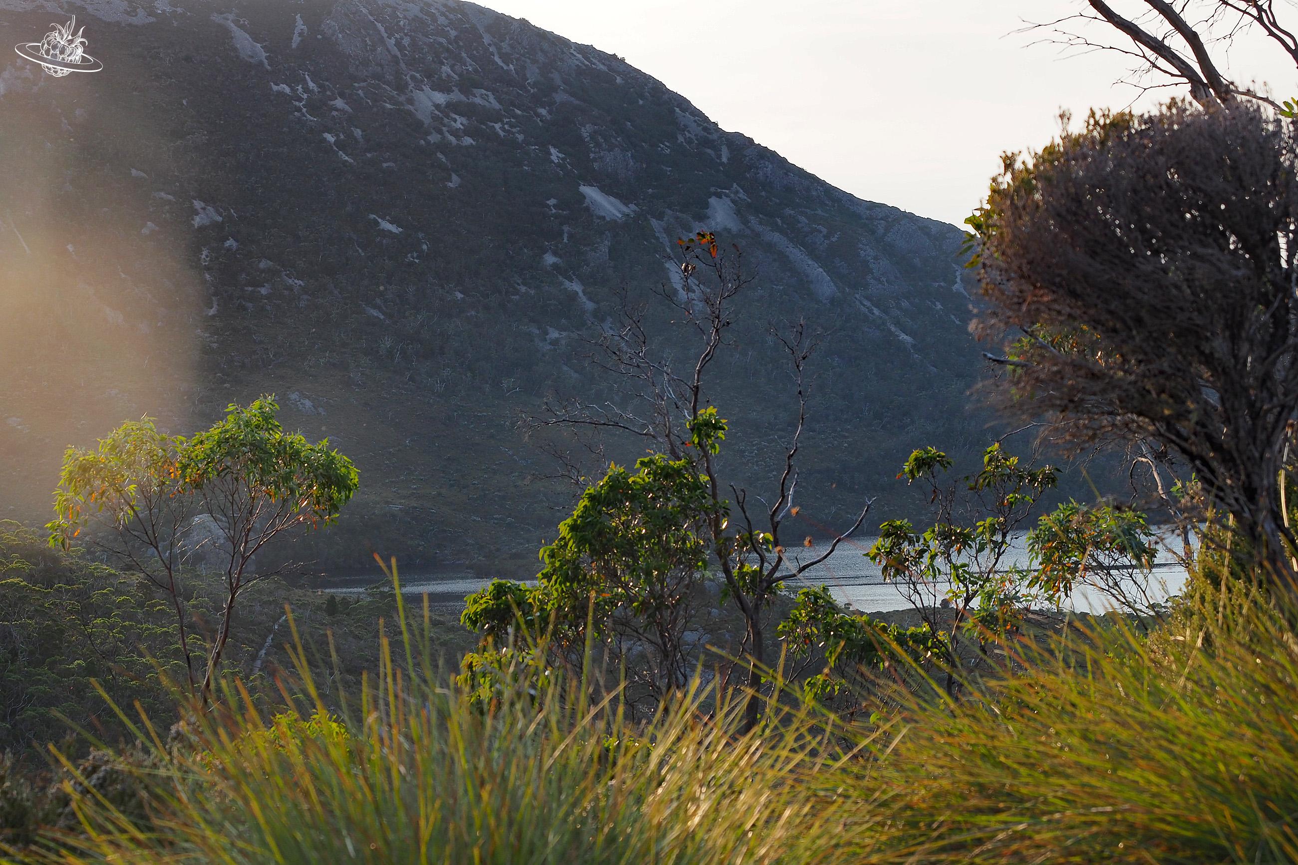 Craddle Mountain, das Wanderparadies in Tasmanien