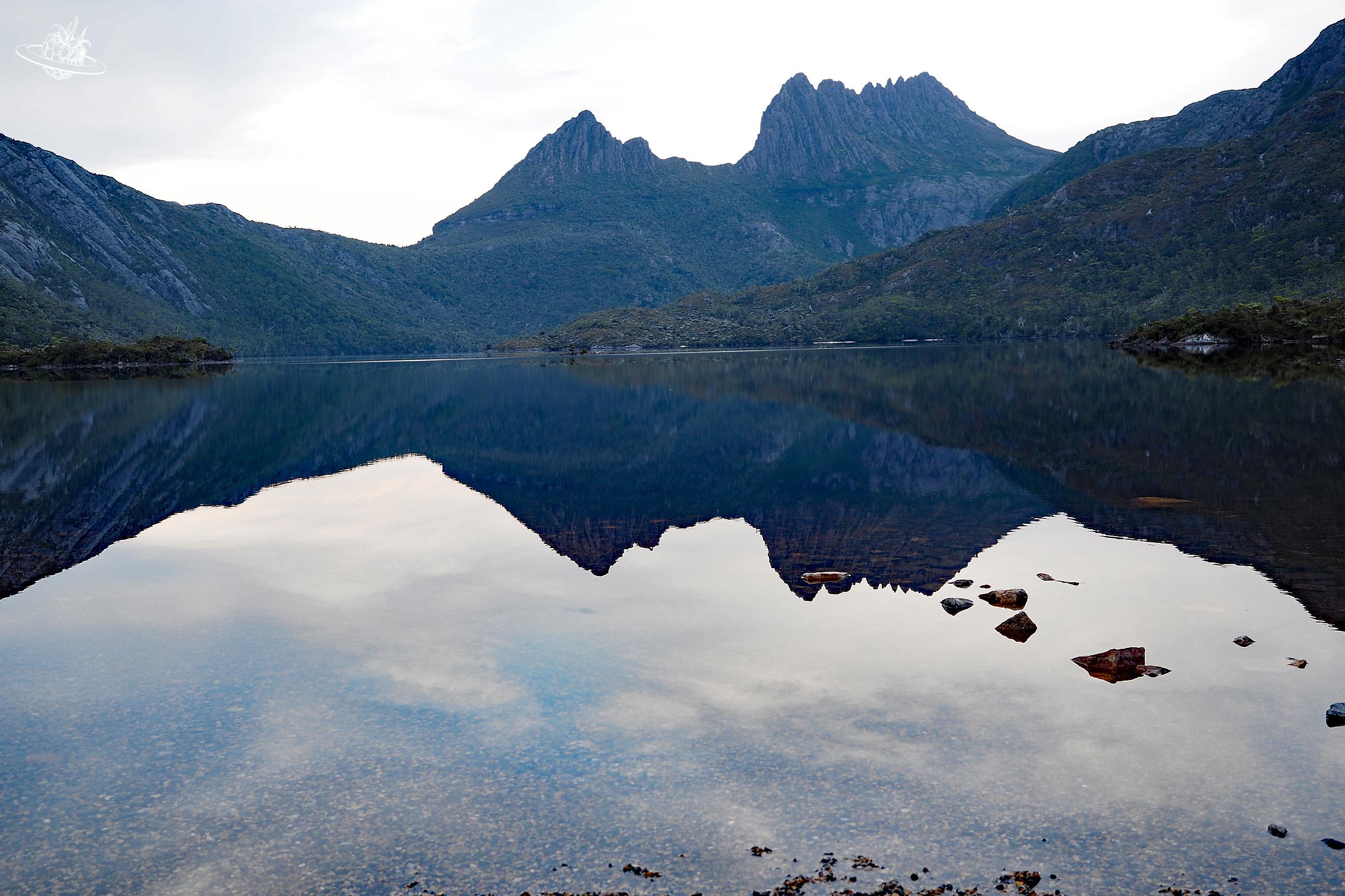 Wanderung Circuit Lake beim Craddle Mountain