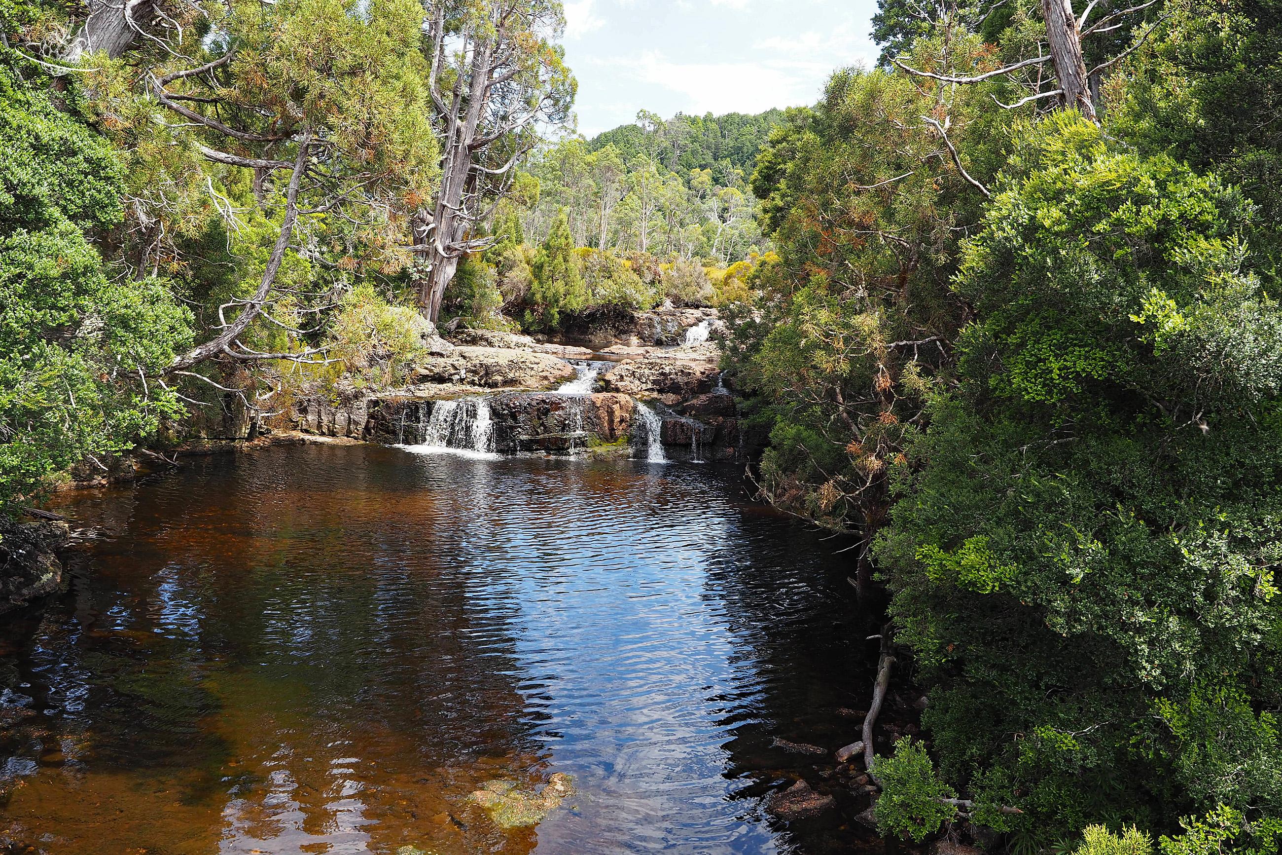 Tasmanien Craddle Mountain Spaziergang