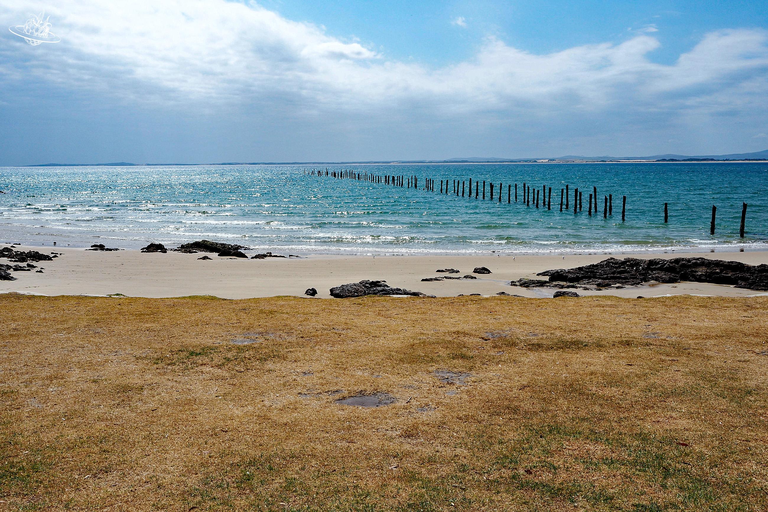 Reisetipp im Norden Eastman Beach Tasmanien
