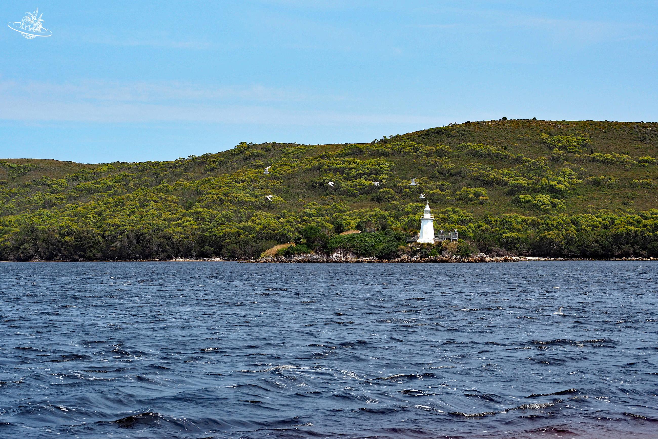 Entrance Insel und der Leuchtturm in Tasmanien