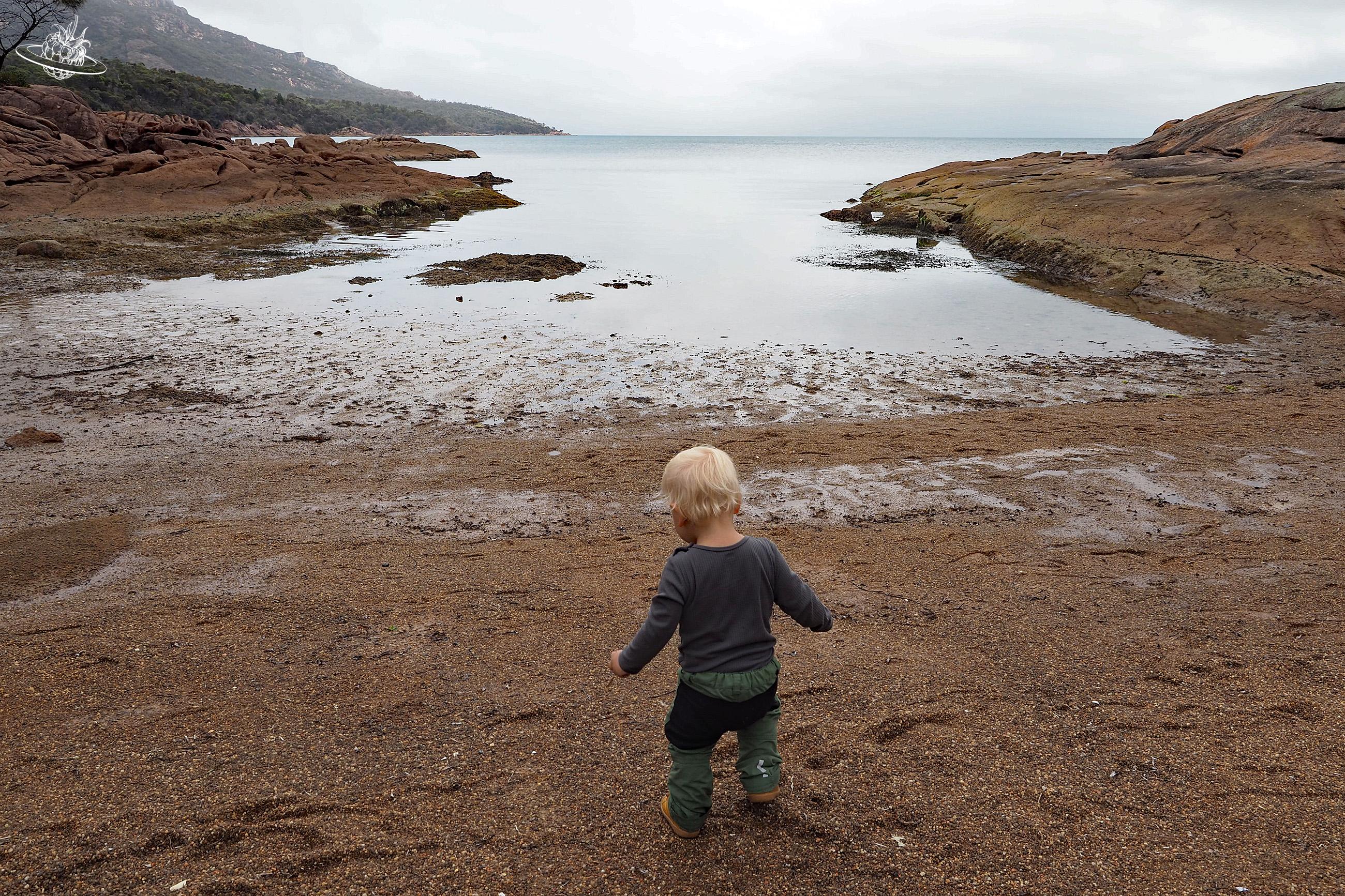 Freycinet Nationalpark: Die Honeymoon Bay wartet mit tollen Abschnitten