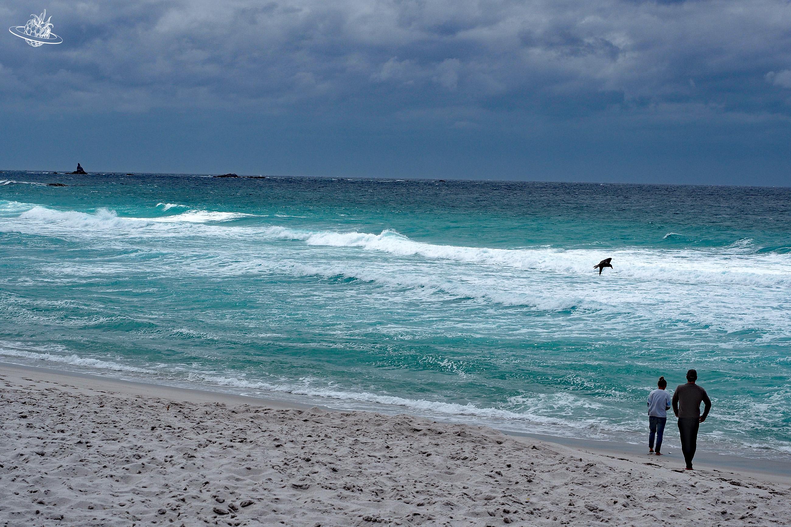 Jeanneret Beach in Tasmanien